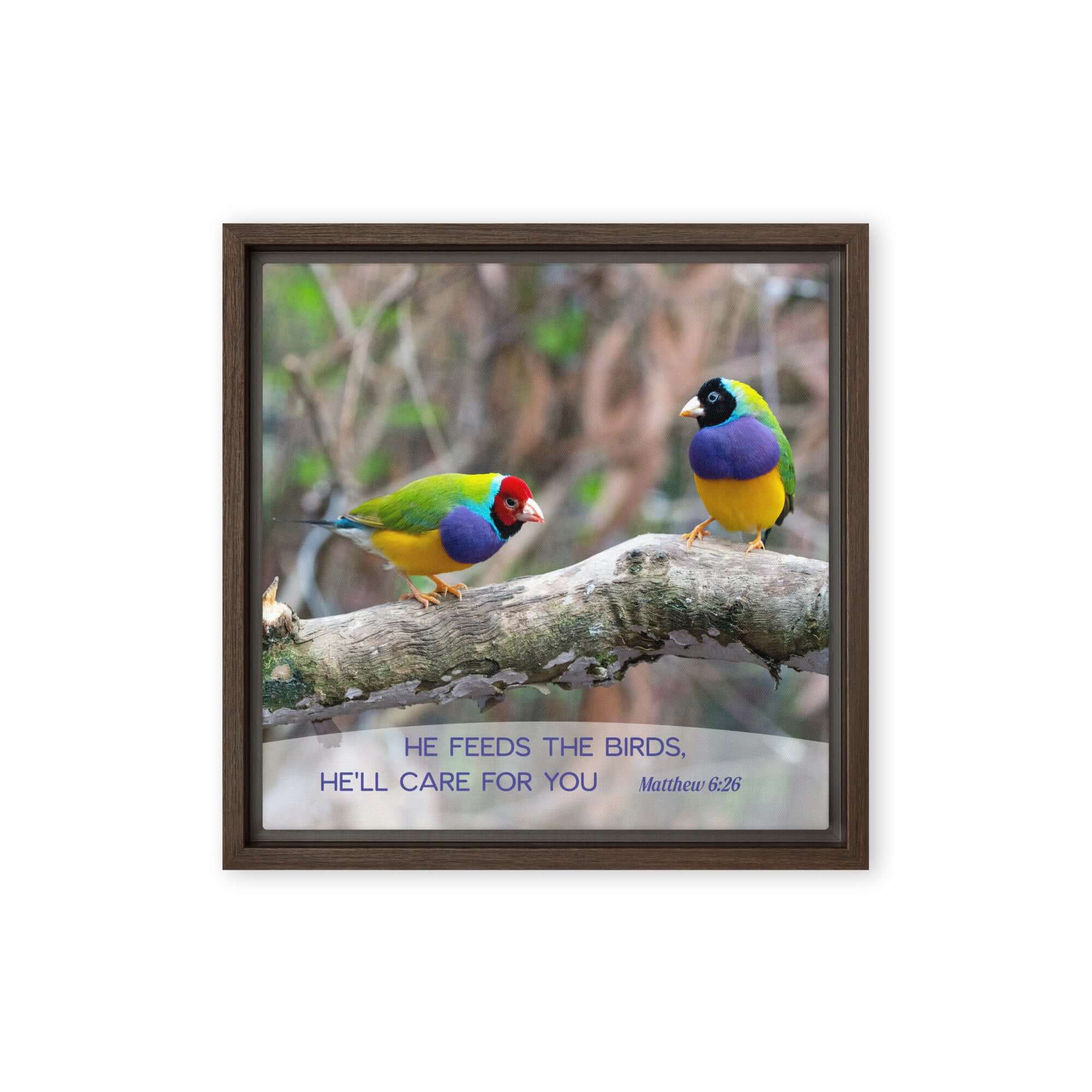 Matthew 6:26 Gouldian Finches, He'll Care for You Framed Canvas Print Wall Art Brown 12″×12″