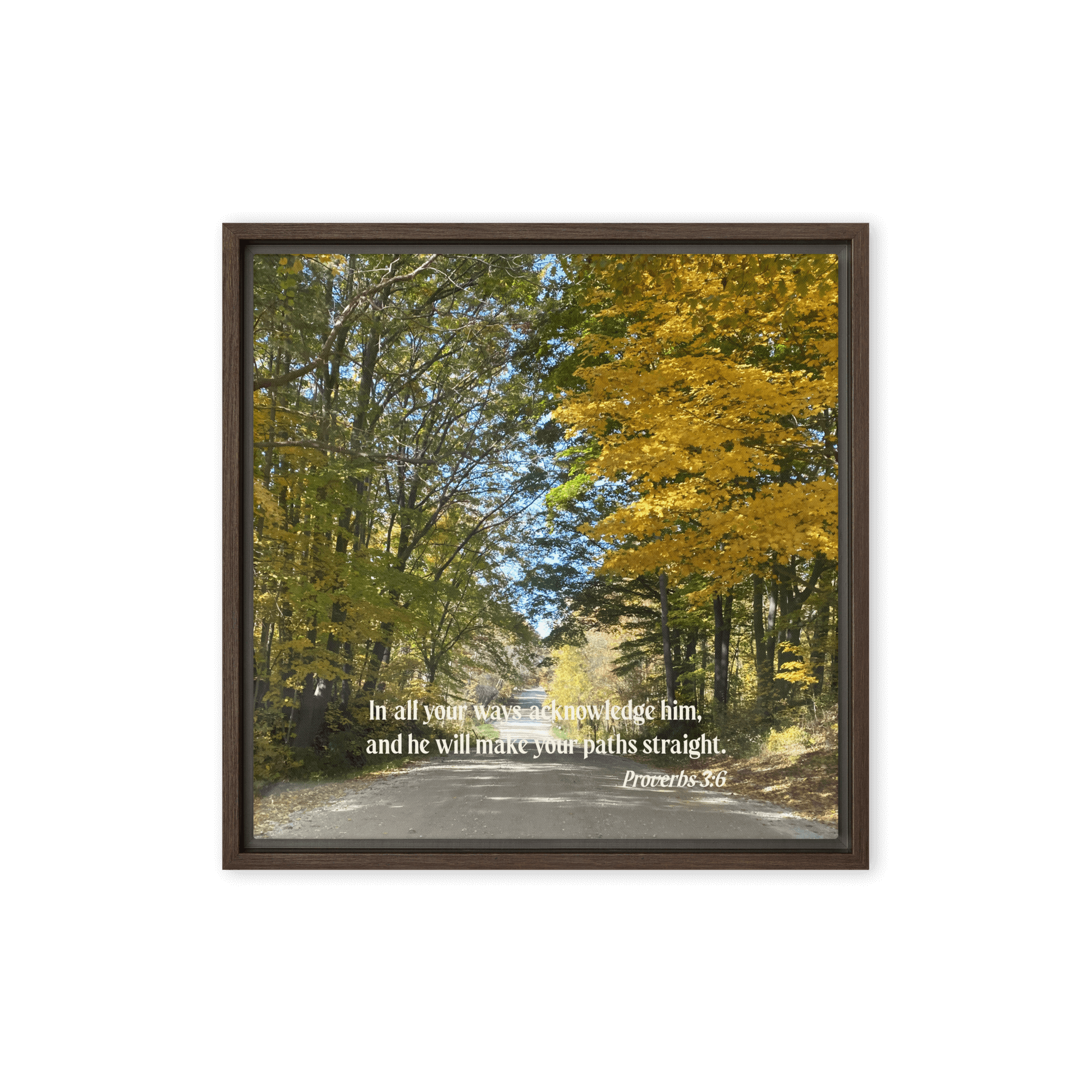 Proverbs 3:6 Bible Verse, Fall Road Framed Canvas Print Wall Art Brown 16″×16″