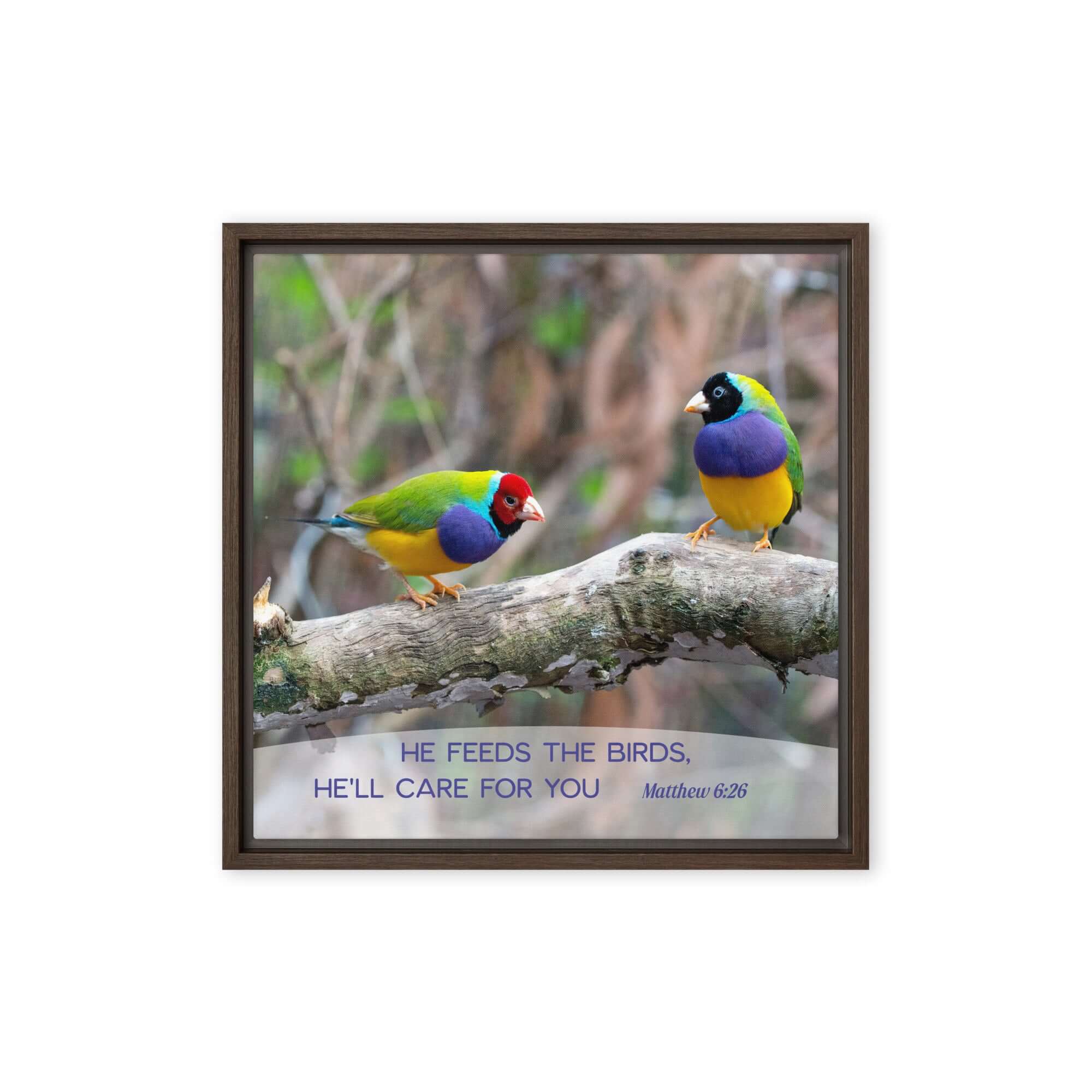 Matthew 6:26 Gouldian Finches, He'll Care for You Framed Canvas Print Wall Art Brown 16″×16″