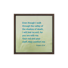 Psalm 23:4 Bible Verse, fear no evil Framed Canvas Print Wall Art Brown 16″×16″