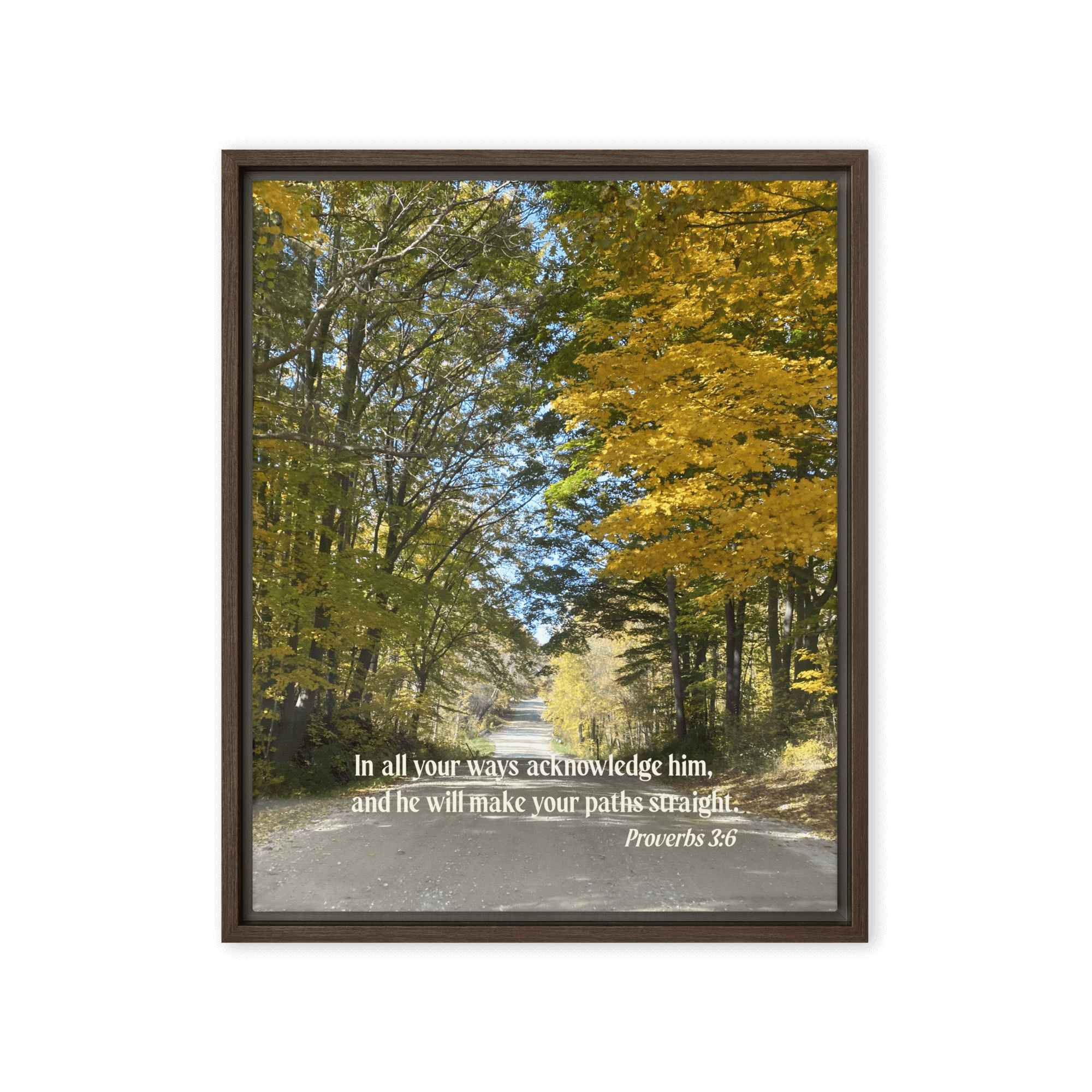 Proverbs 3:6 Bible Verse, Fall Road Framed Canvas Print Wall Art Brown 16″×20″