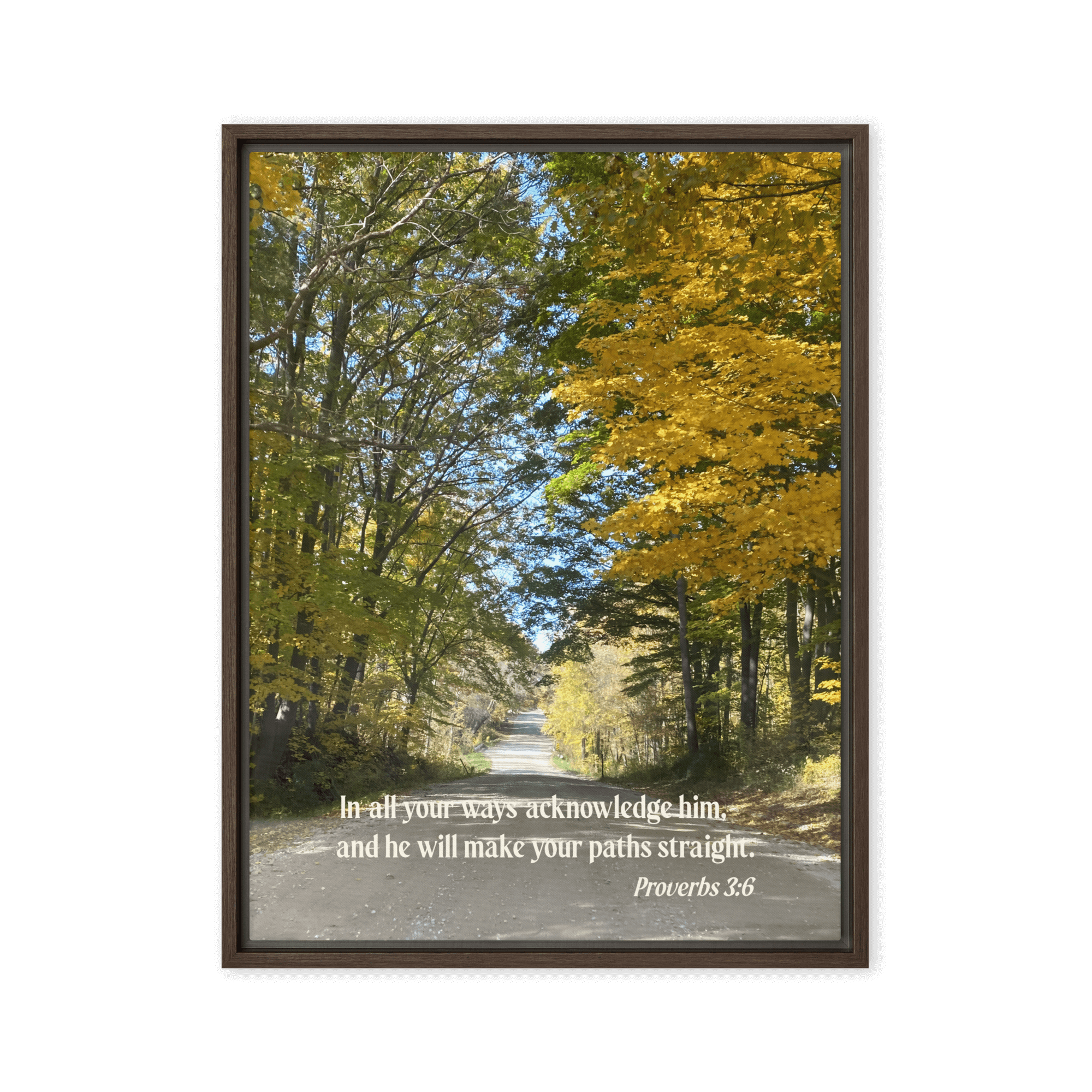 Proverbs 3:6 Bible Verse, Fall Road Framed Canvas Print Wall Art Brown 18″×24″