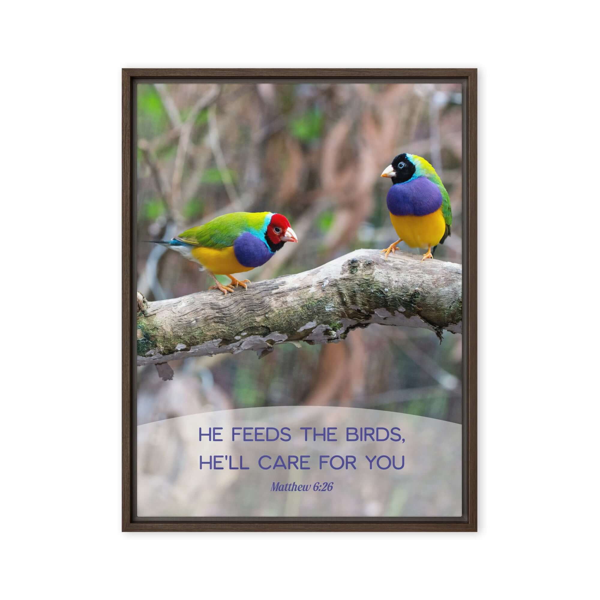 Matthew 6:26 Gouldian Finches, He'll Care for You Framed Canvas Print Wall Art Brown 18″×24″