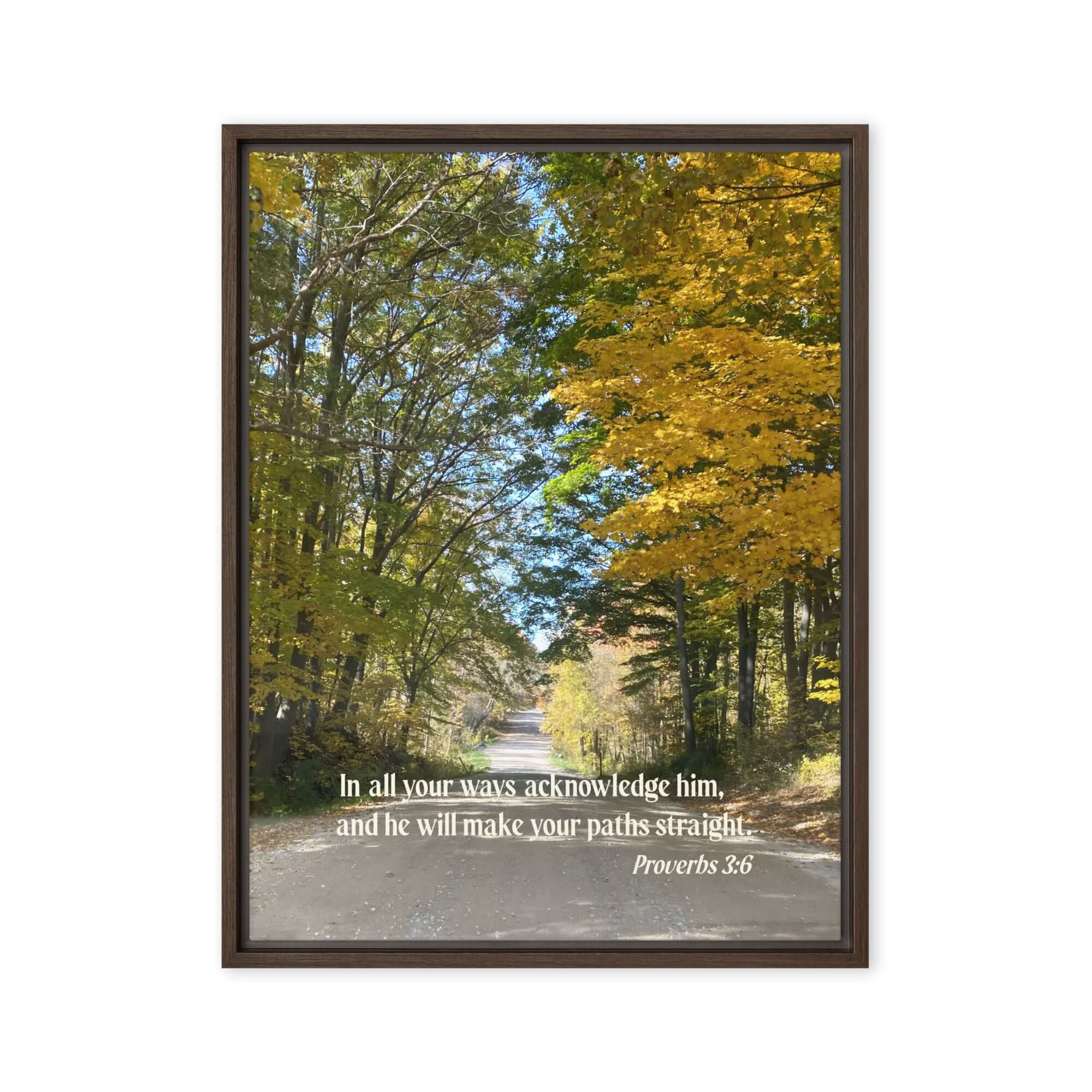 Proverbs 3:6 Bible Verse, Fall Road Framed Canvas Print Wall Art Brown 24″×32″
