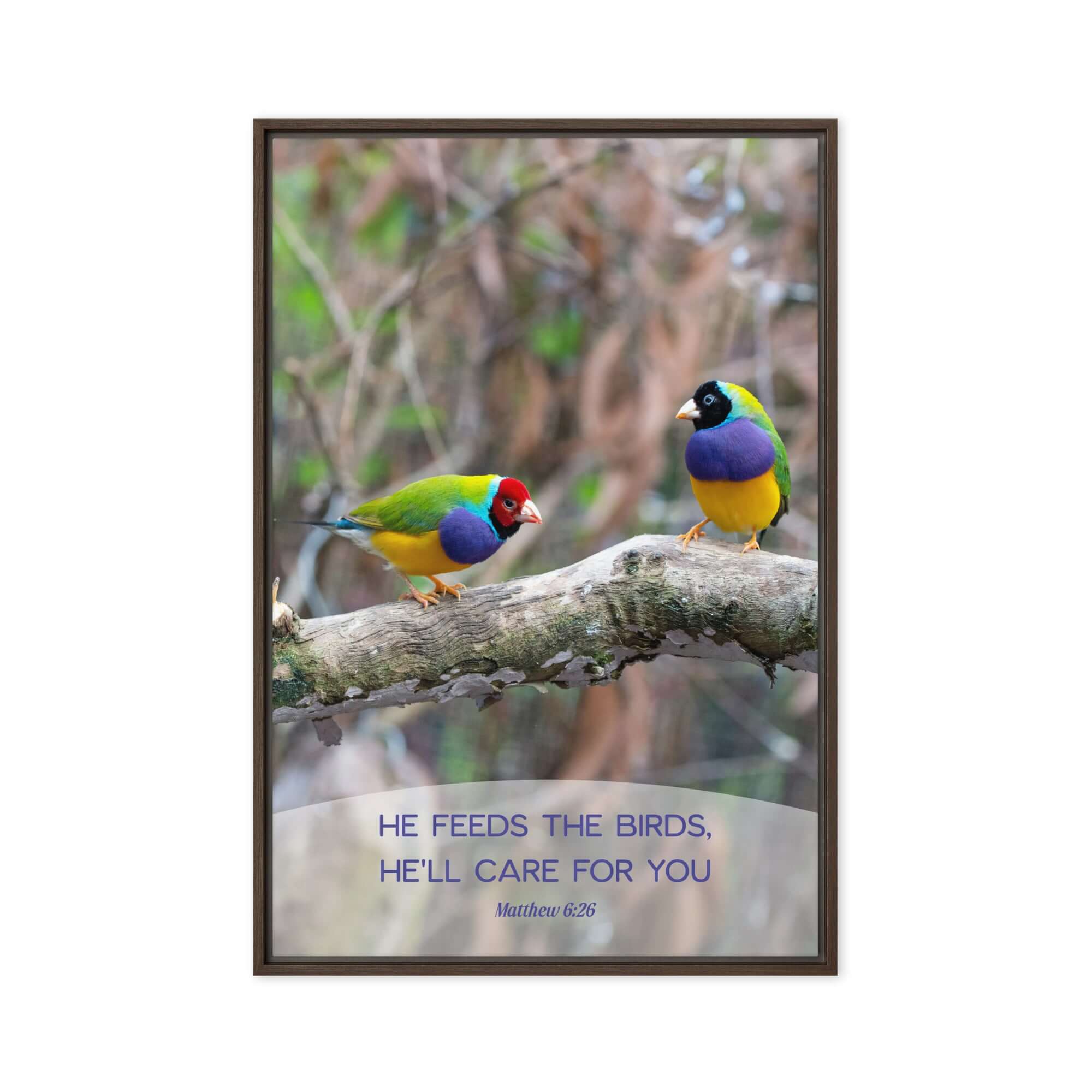 Matthew 6:26 Gouldian Finches, He'll Care for You Framed Canvas Print Wall Art Brown 24″×36″
