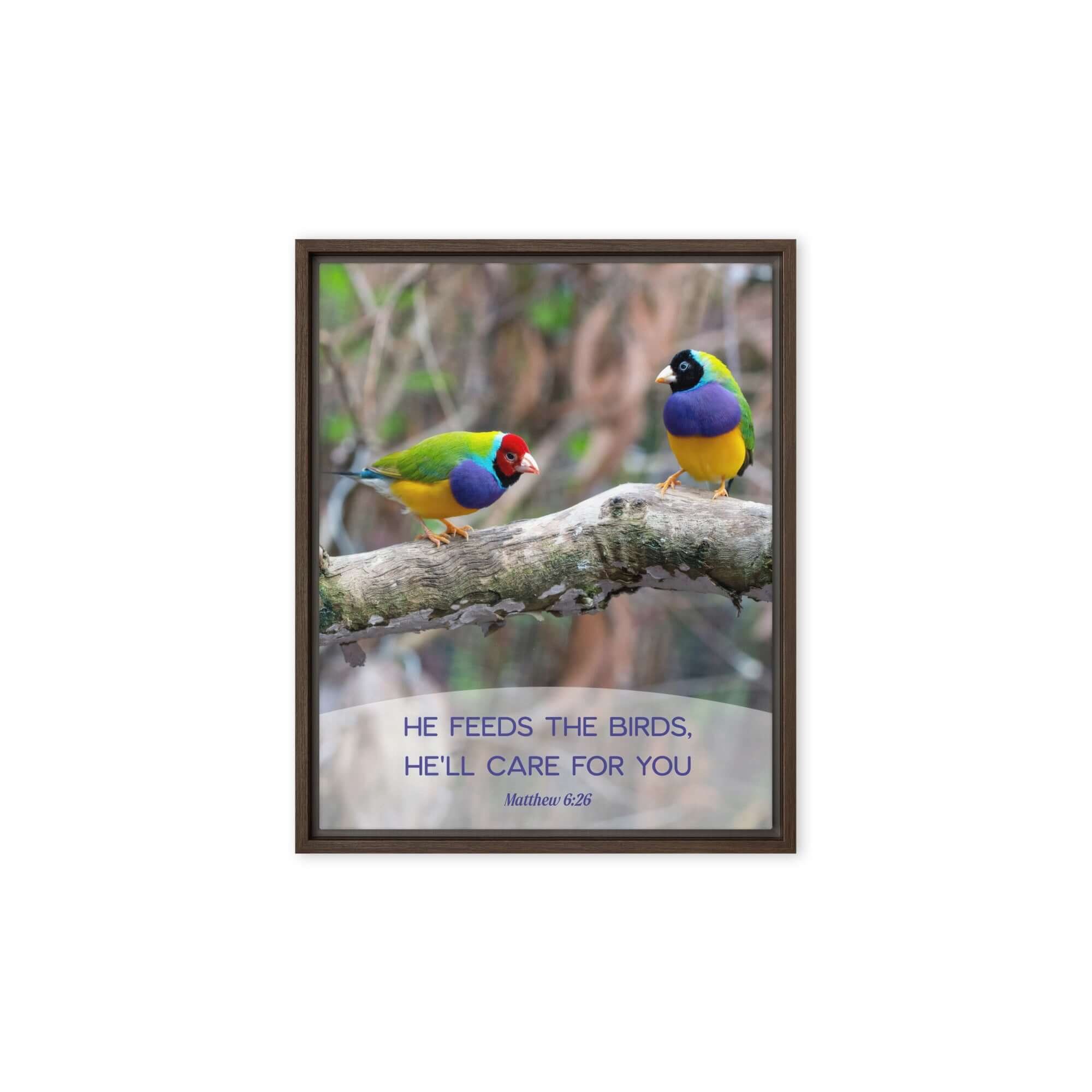 Matthew 6:26 Gouldian Finches, He'll Care for You Framed Canvas Print Wall Art Brown 8″×10″