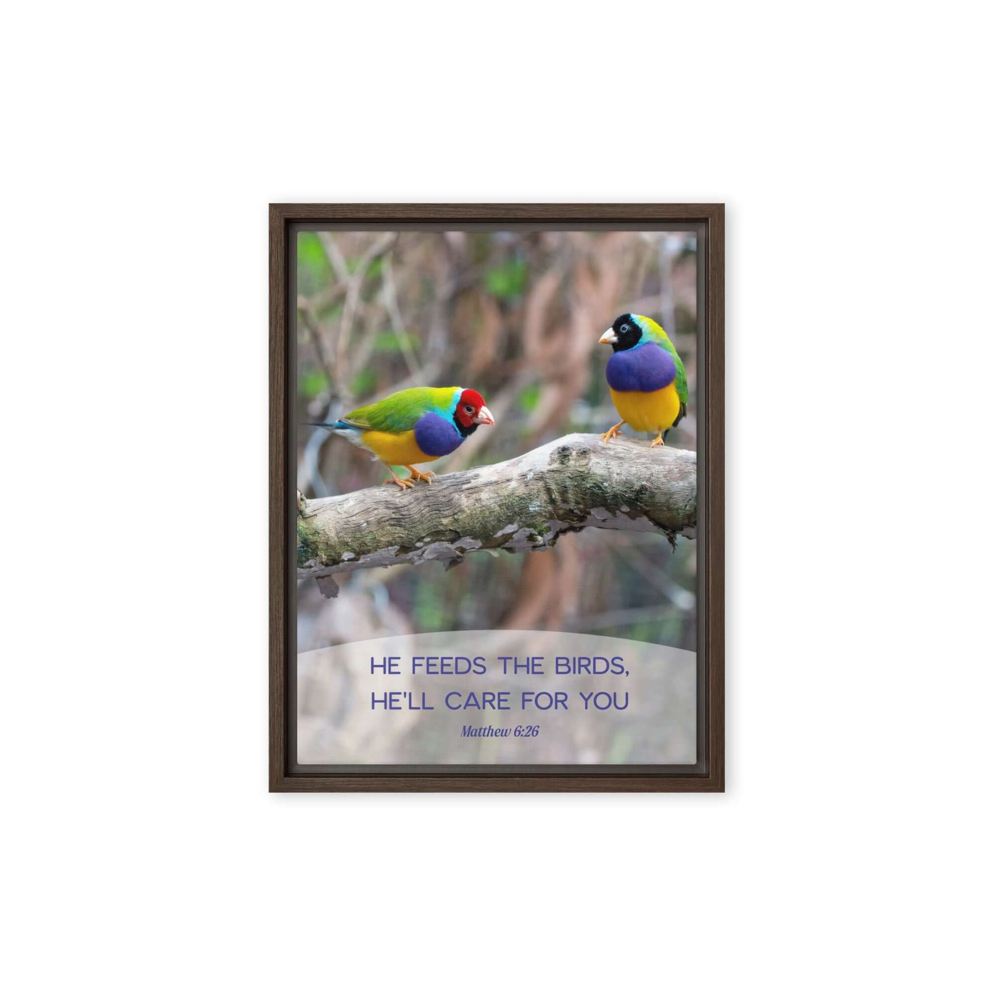 Matthew 6:26 Gouldian Finches, He'll Care for You Framed Canvas Print Wall Art Brown 9″×12″