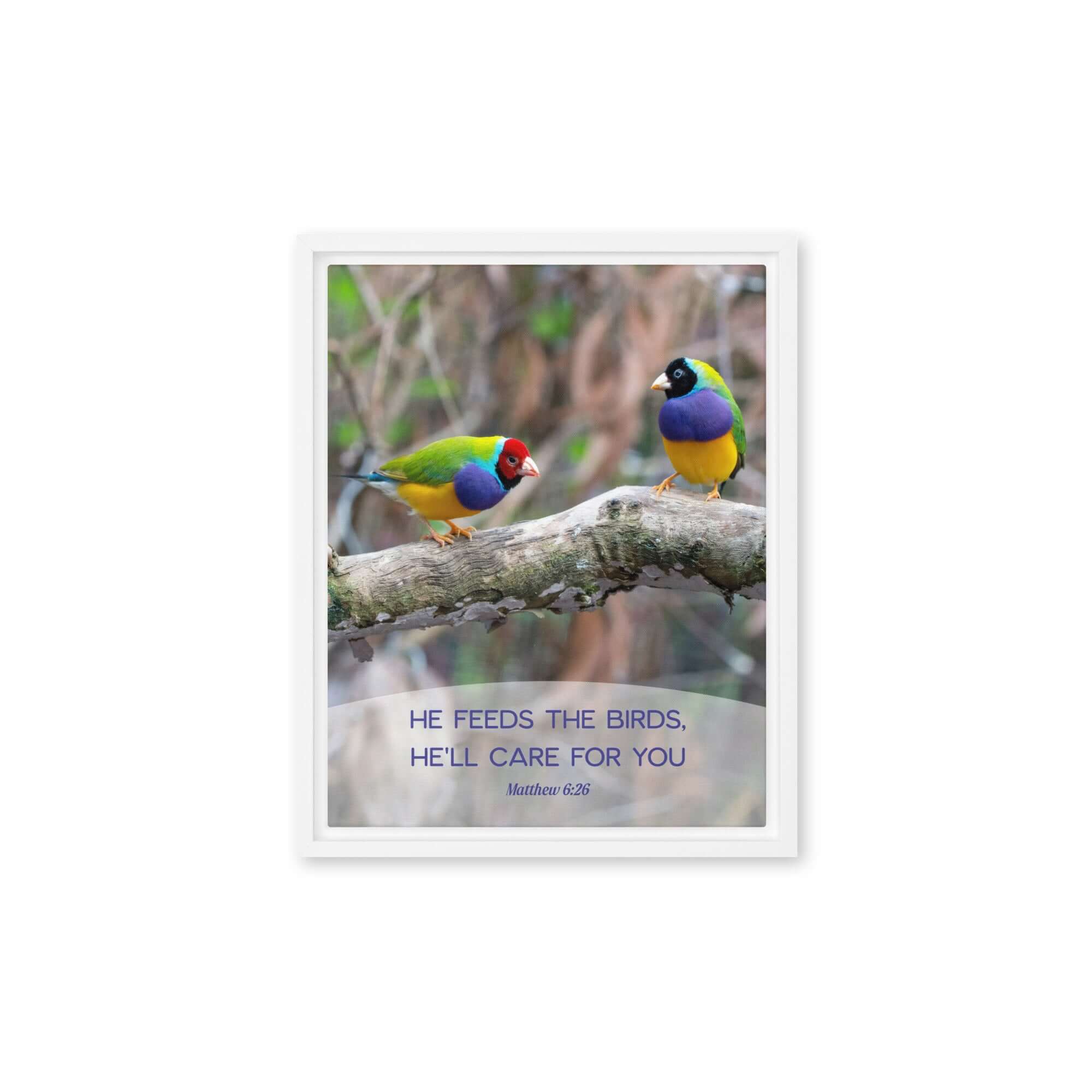 Matthew 6:26 Gouldian Finches, He'll Care for You Framed Canvas Print Wall Art White 11″×14″