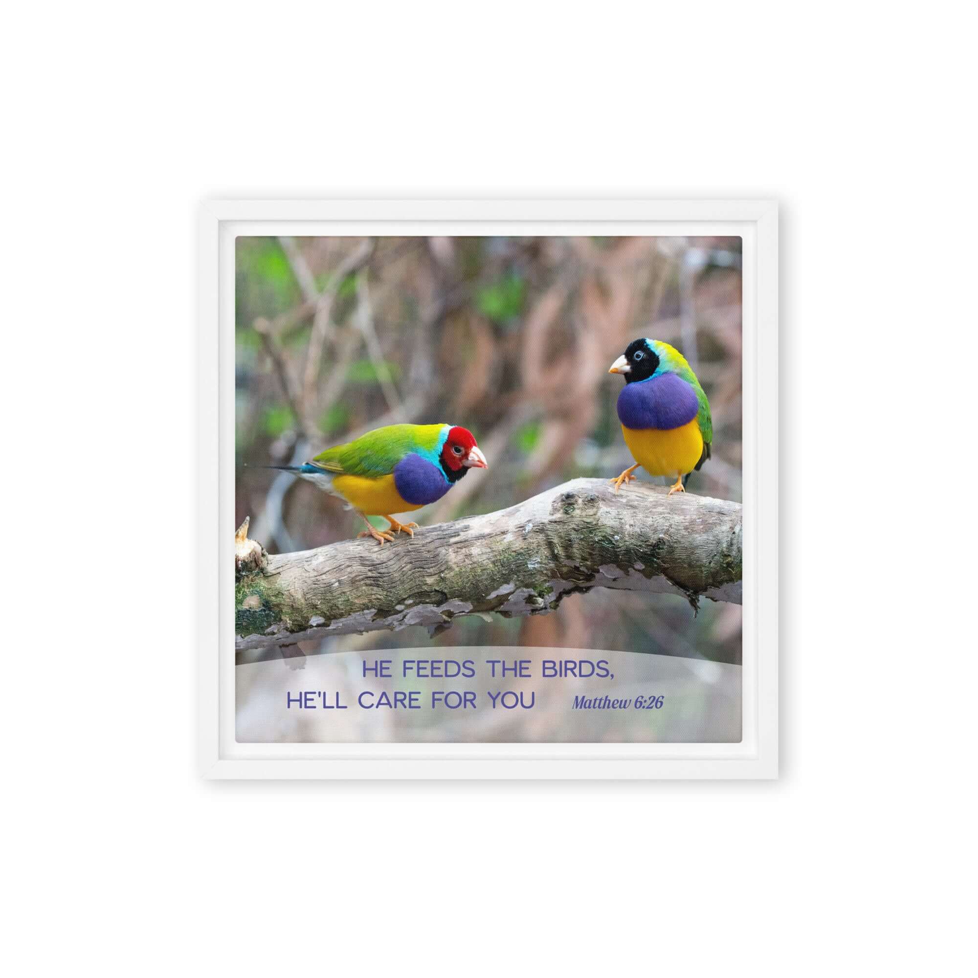 Matthew 6:26 Gouldian Finches, He'll Care for You Framed Canvas Print Wall Art White 12″×12″