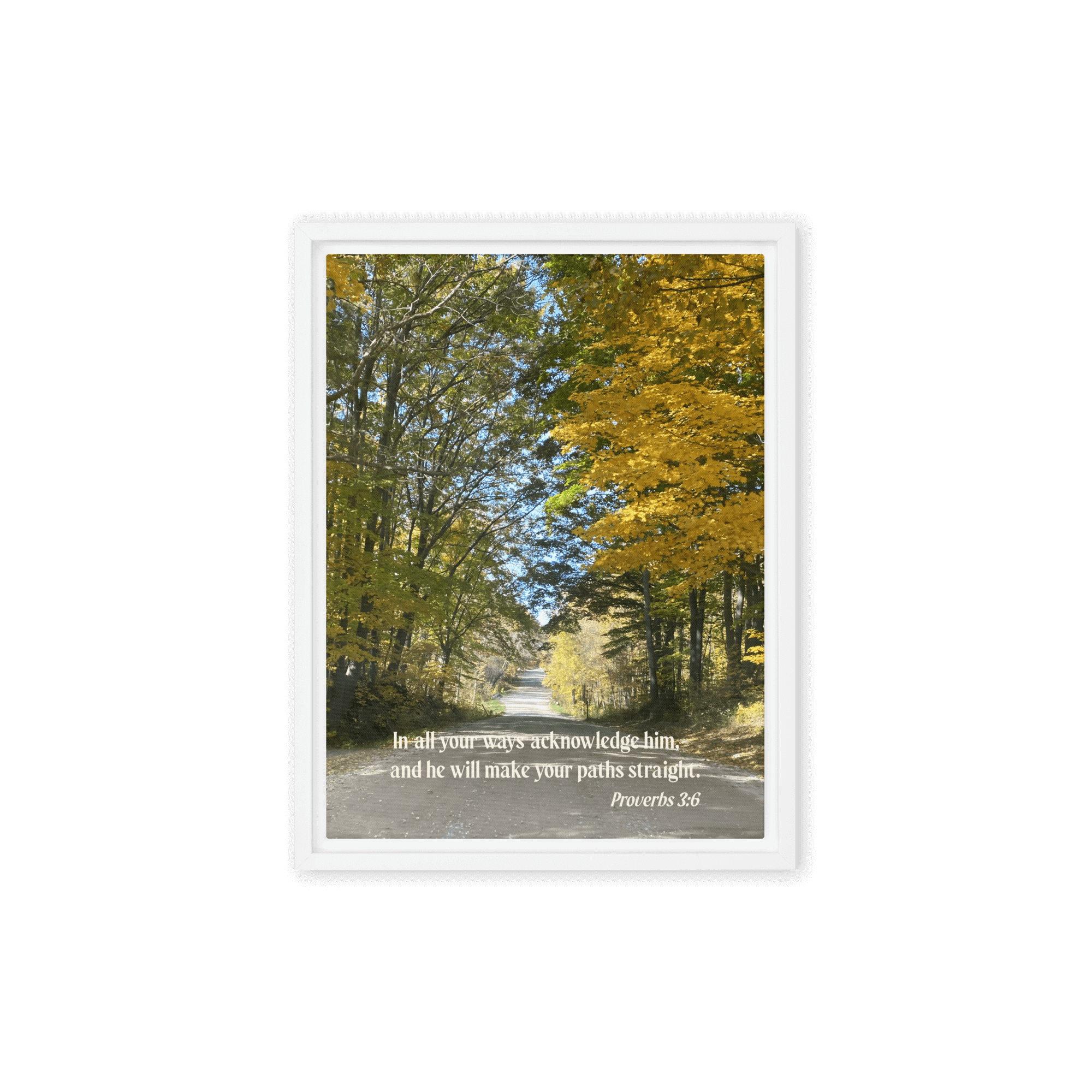Proverbs 3:6 Bible Verse, Fall Road Framed Canvas Print Wall Art White 12″×16″