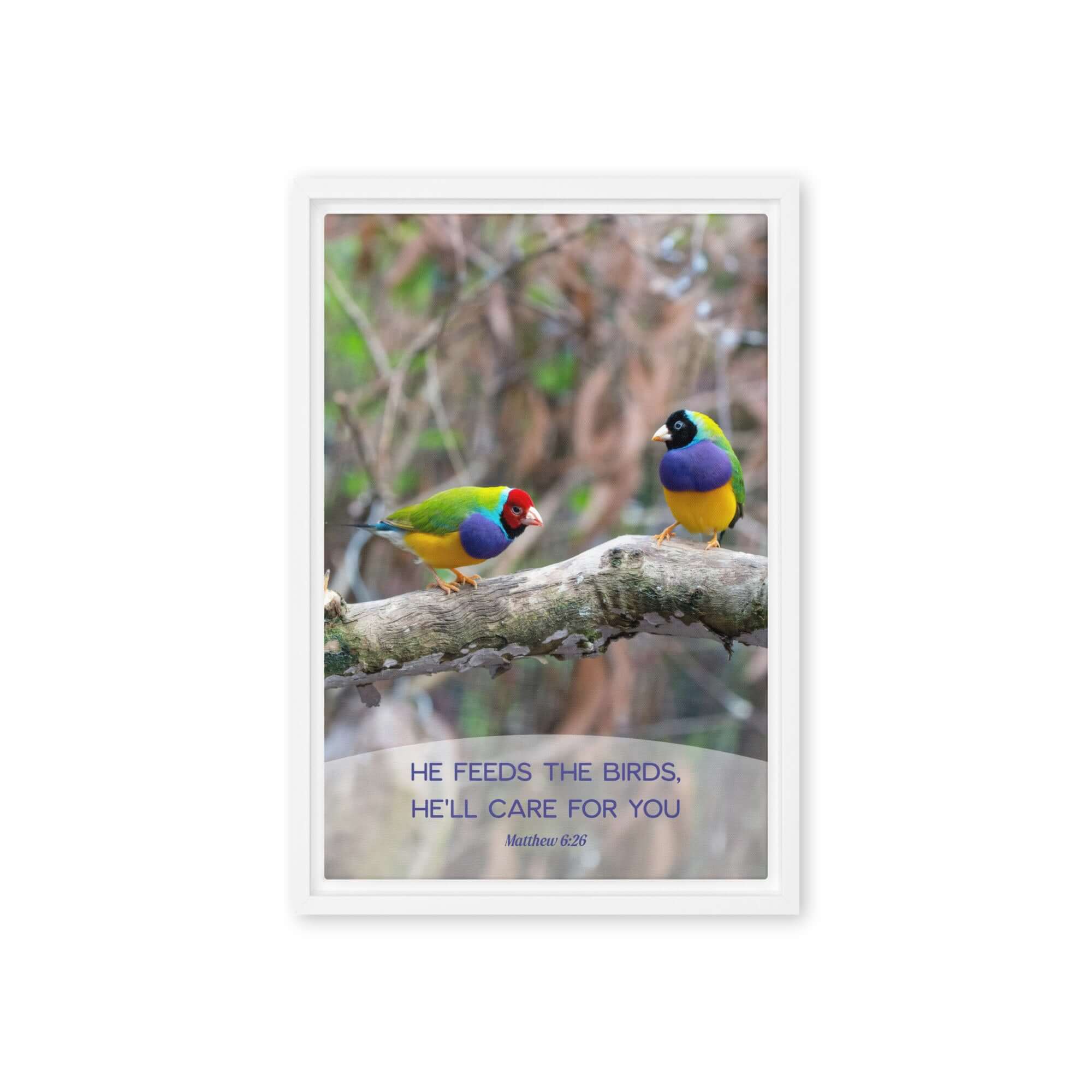 Matthew 6:26 Gouldian Finches, He'll Care for You Framed Canvas Print Wall Art White 12″×18″