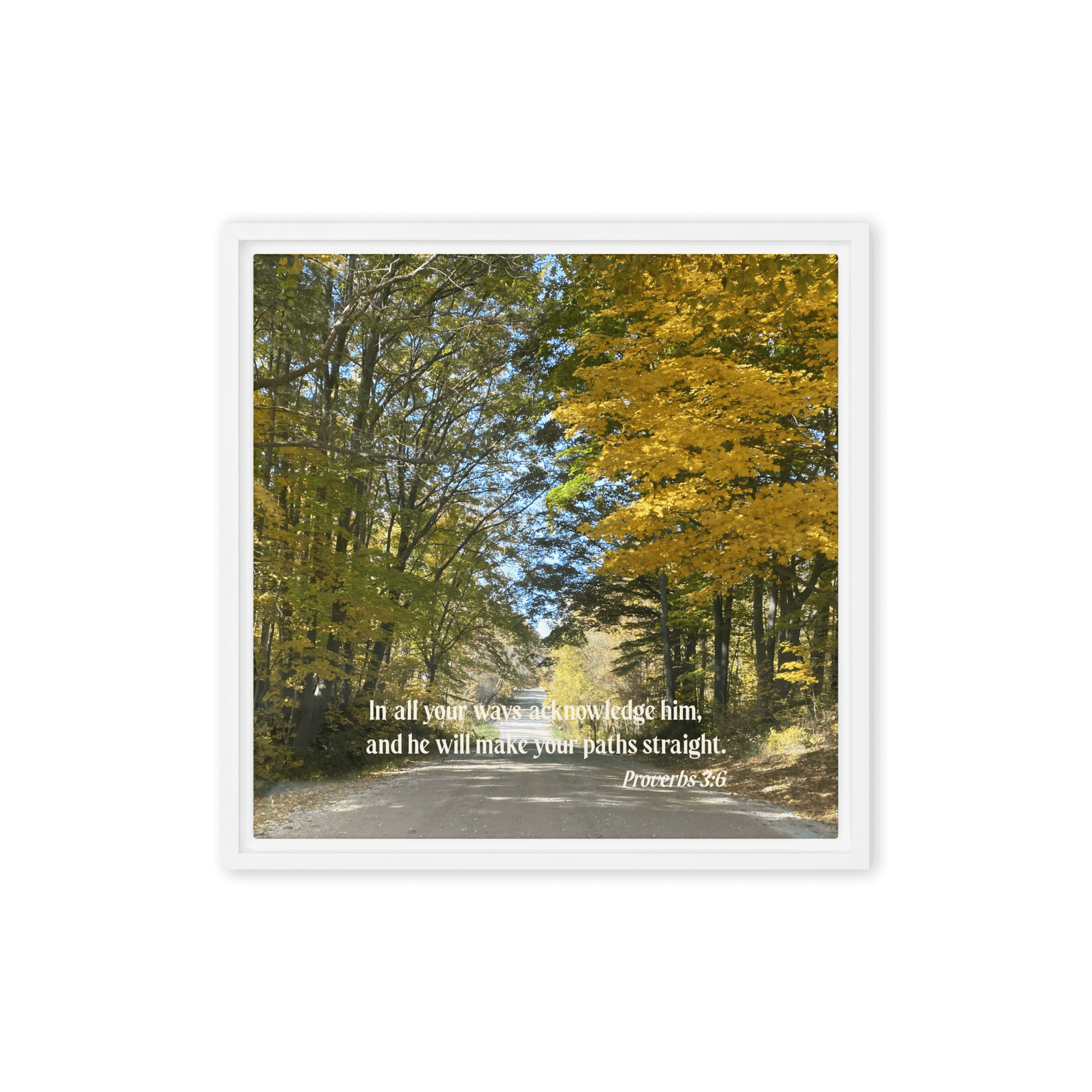 Proverbs 3:6 Bible Verse, Fall Road Framed Canvas Print Wall Art White 16″×16″