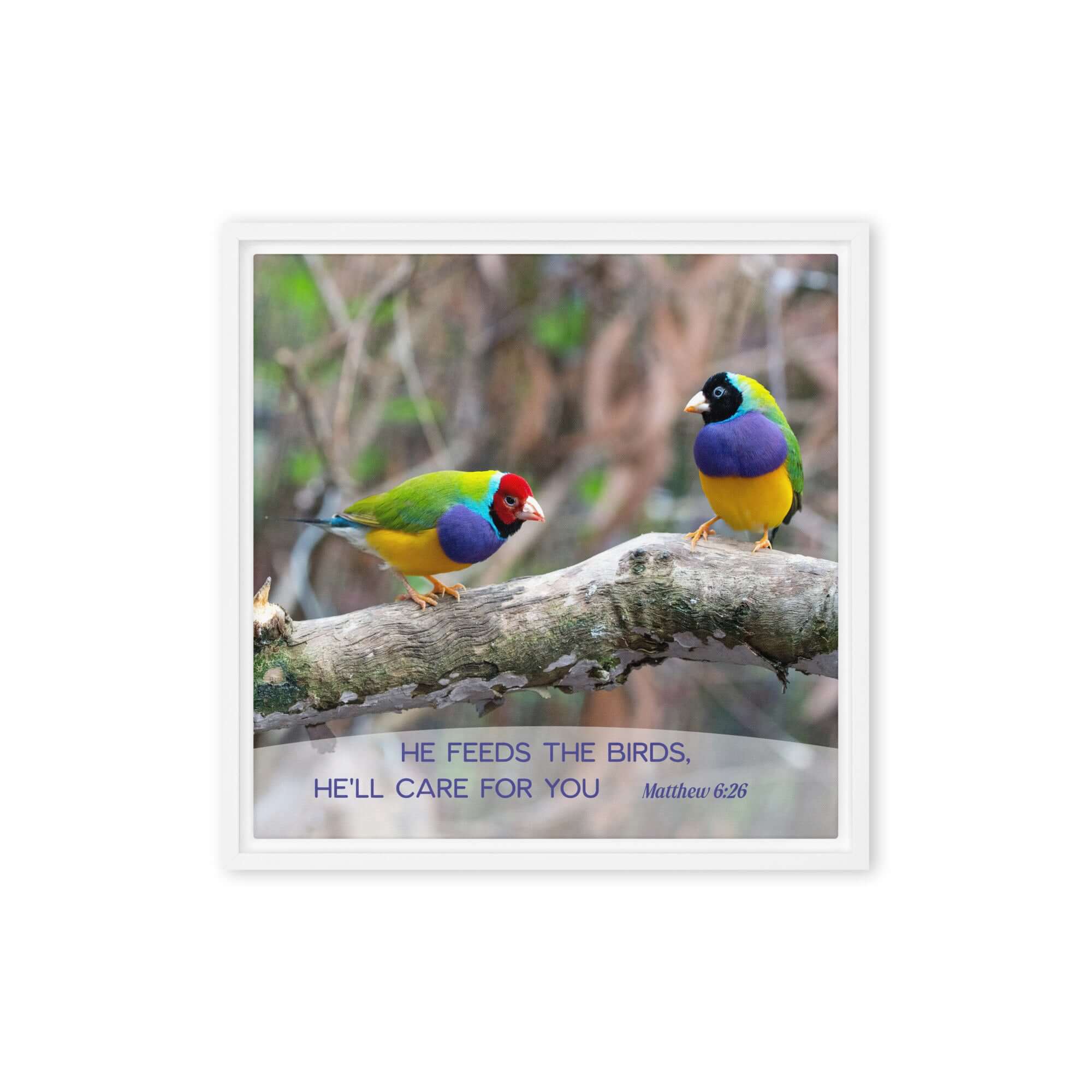 Matthew 6:26 Gouldian Finches, He'll Care for You Framed Canvas Print Wall Art White 16″×16″
