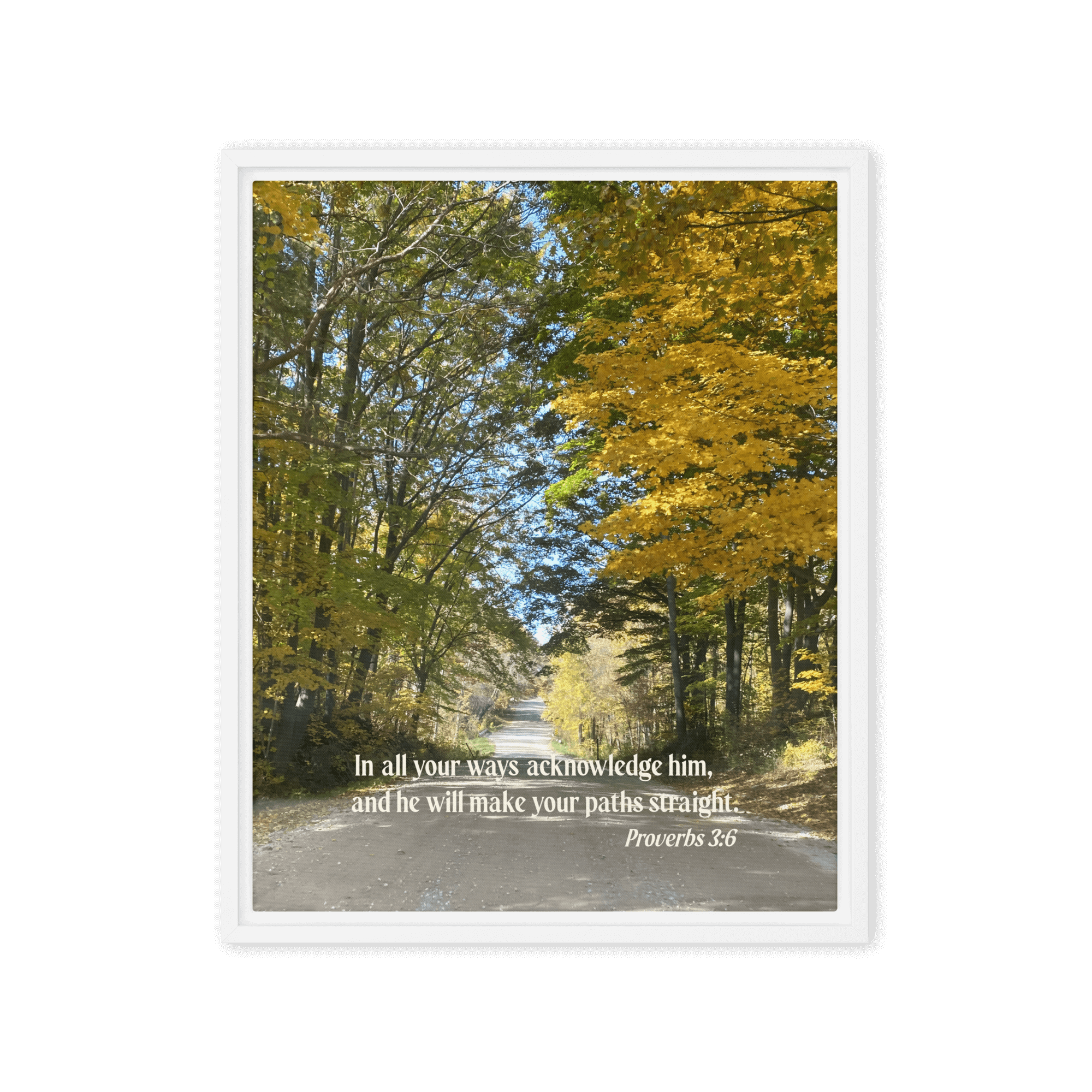 Proverbs 3:6 Bible Verse, Fall Road Framed Canvas Print Wall Art White 16″×20″