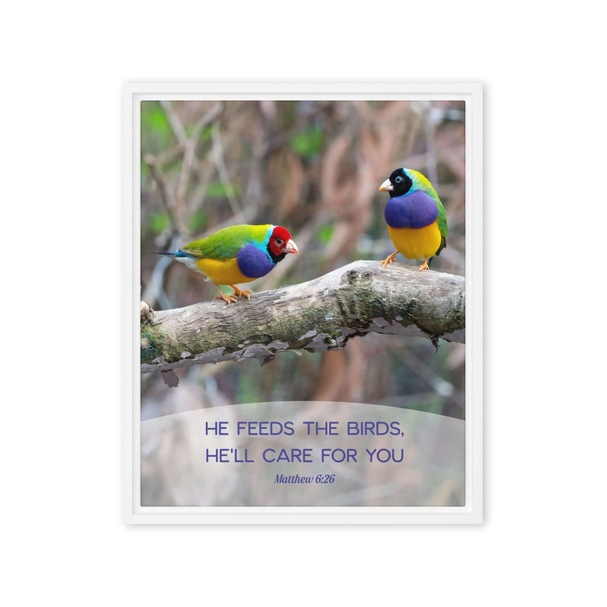 Matthew 6:26 Gouldian Finches, He'll Care for You Framed Canvas Print Wall Art White 16″×20″