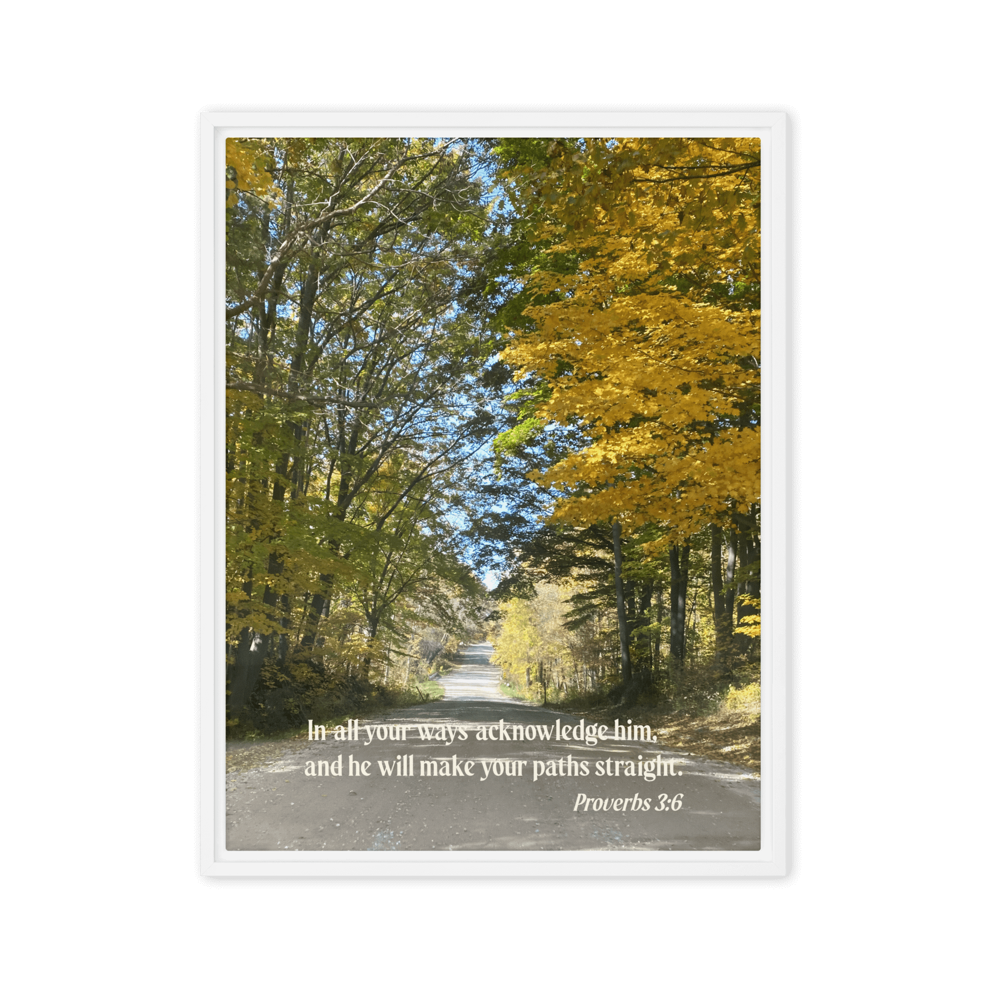 Proverbs 3:6 Bible Verse, Fall Road Framed Canvas Print Wall Art White 18″×24″
