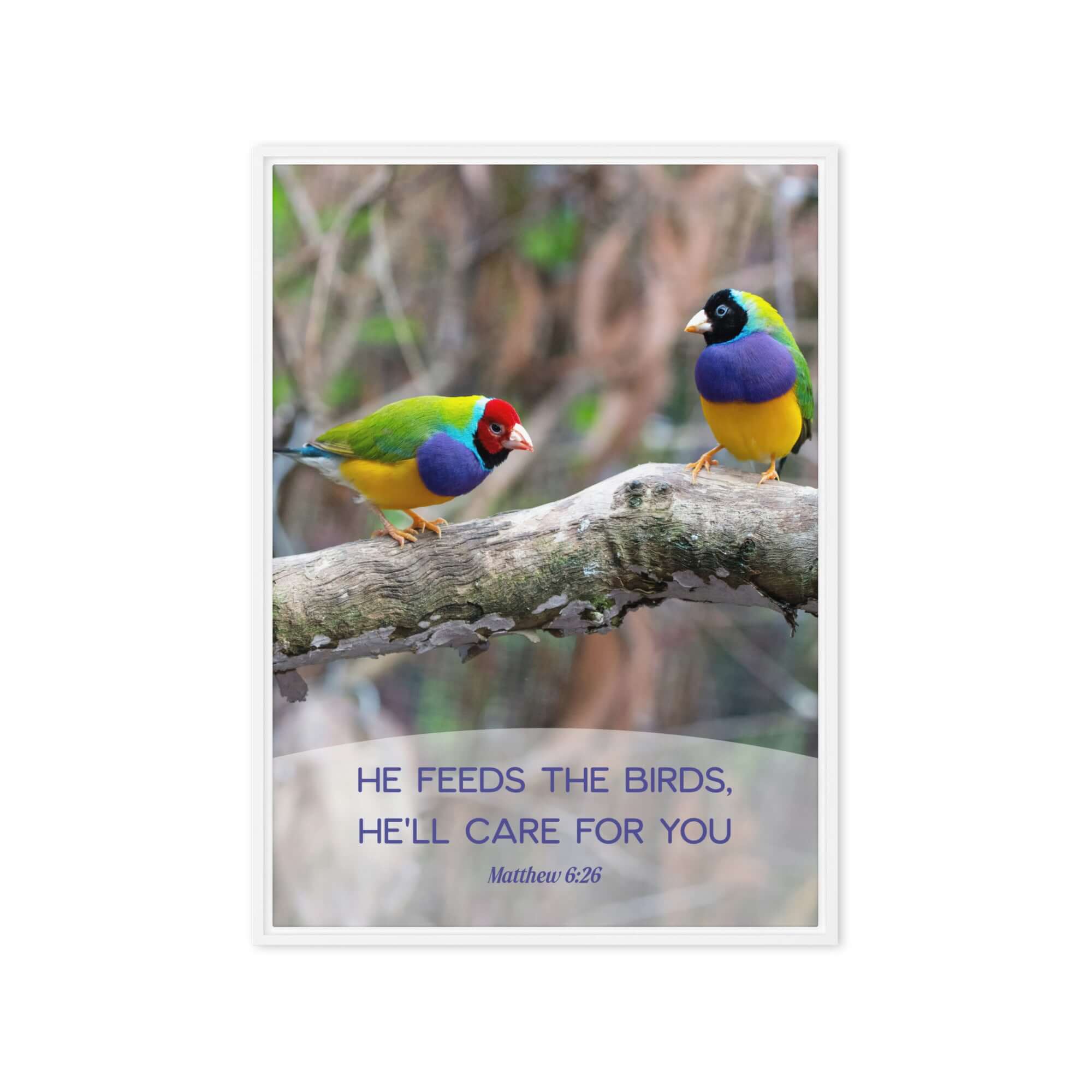 Matthew 6:26 Gouldian Finches, He'll Care for You Framed Canvas Print Wall Art White 20″×28″