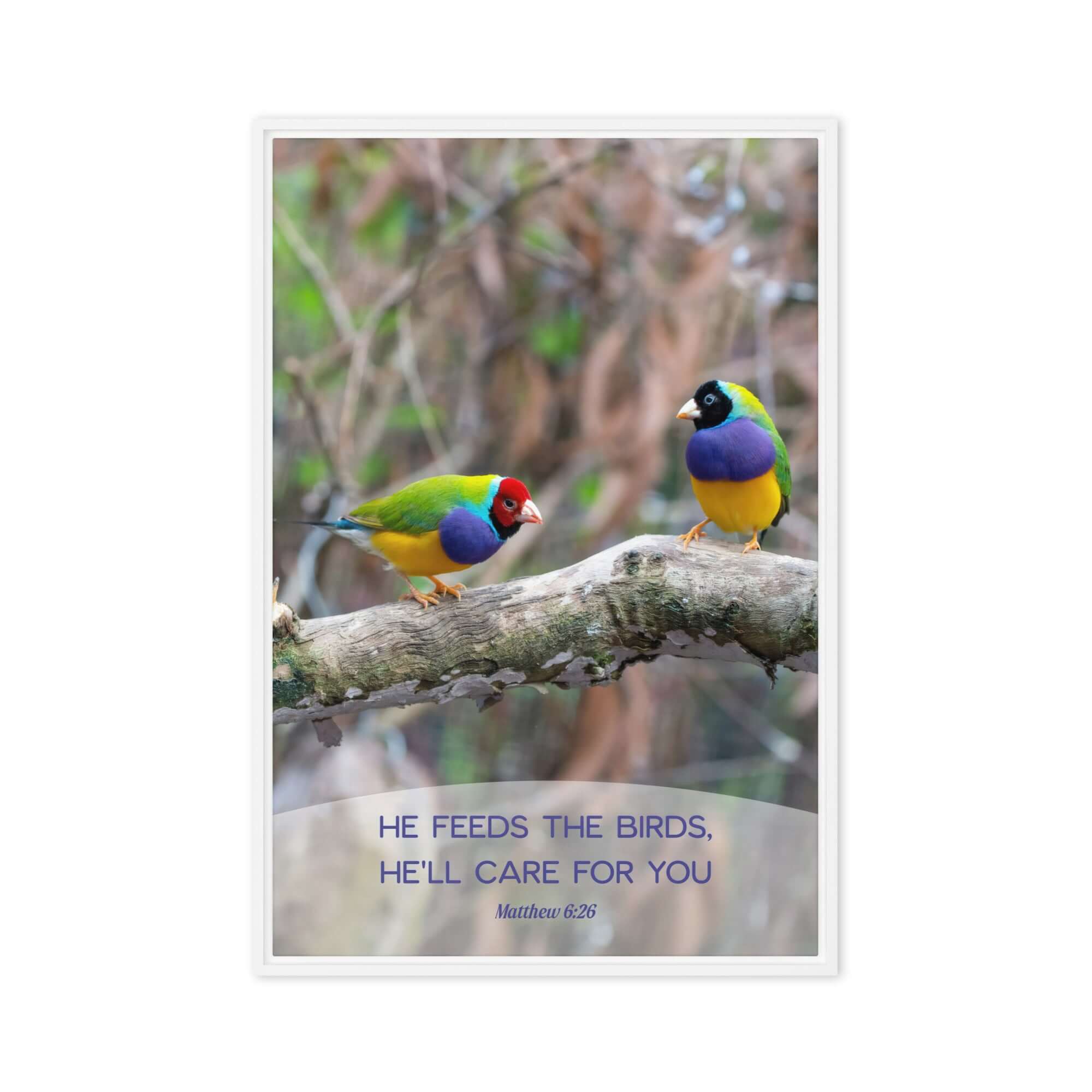 Matthew 6:26 Gouldian Finches, He'll Care for You Framed Canvas Print Wall Art White 20″×30″