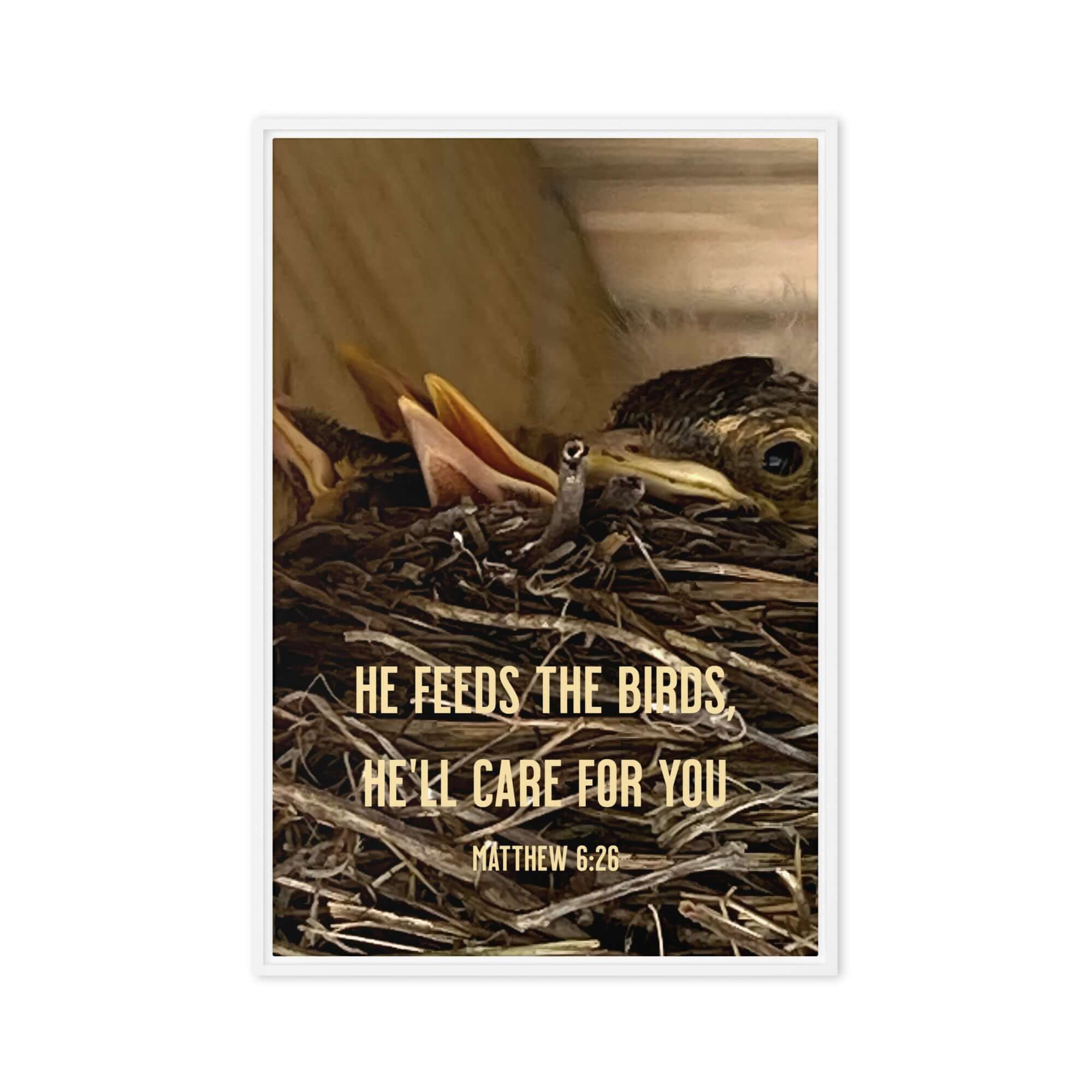 Matthew 6:26 Baby Robins, He'll Care for You Framed Canvas Print Wall Art White 20″×30″