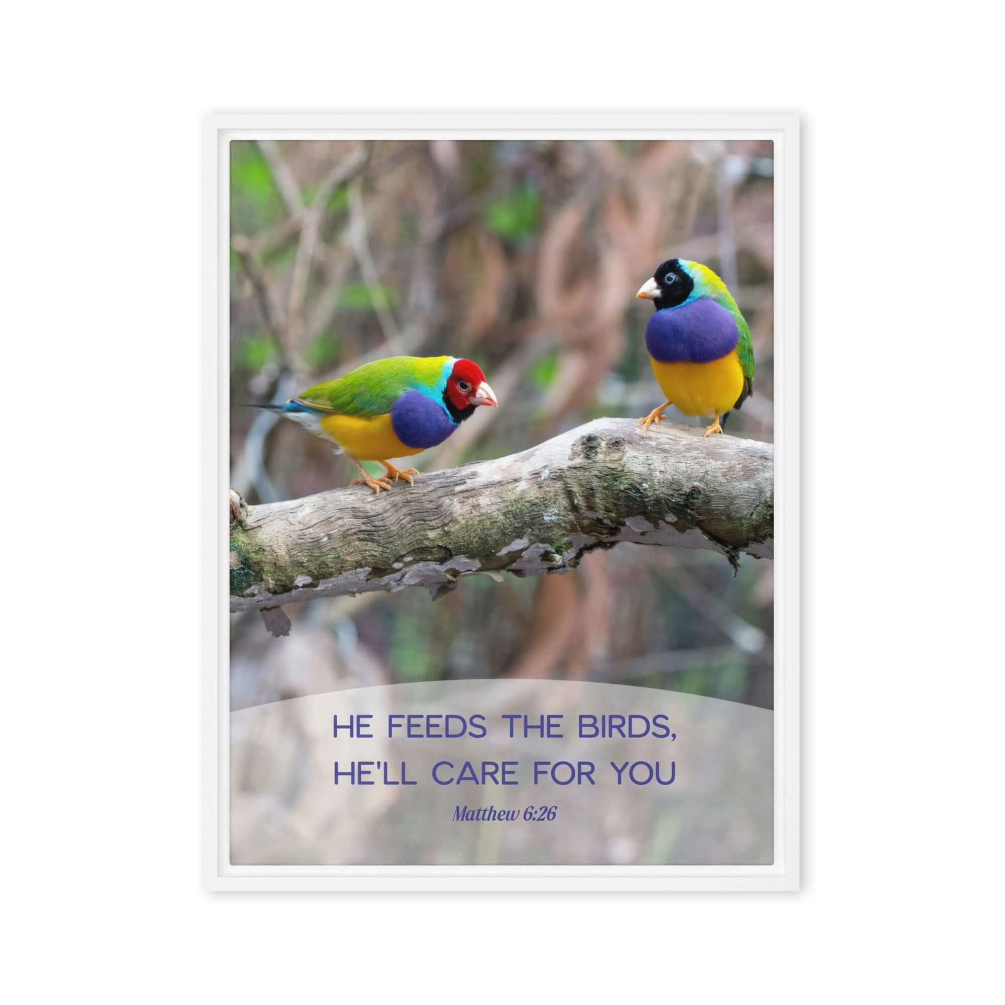 Matthew 6:26 Gouldian Finches, He'll Care for You Framed Canvas Print Wall Art White 24″×32″