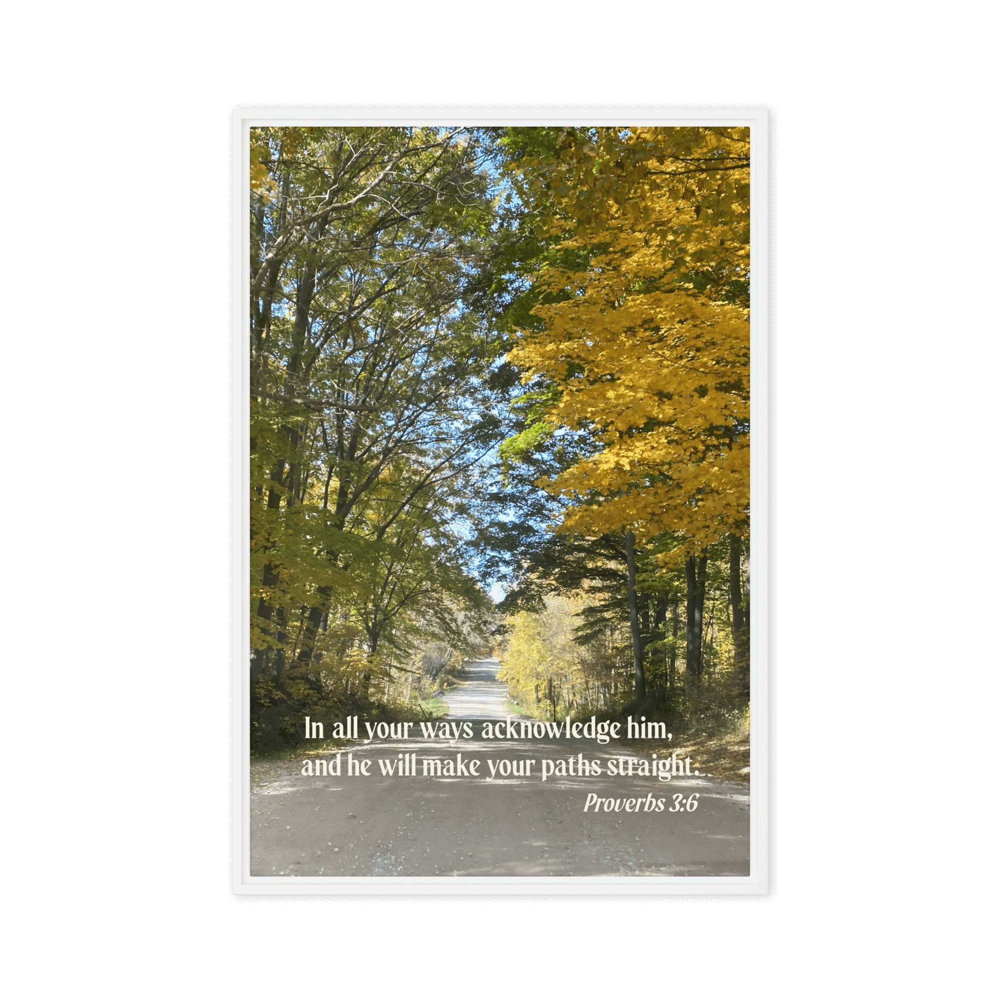 Proverbs 3:6 Bible Verse, Fall Road Framed Canvas Print Wall Art White 24″×36″