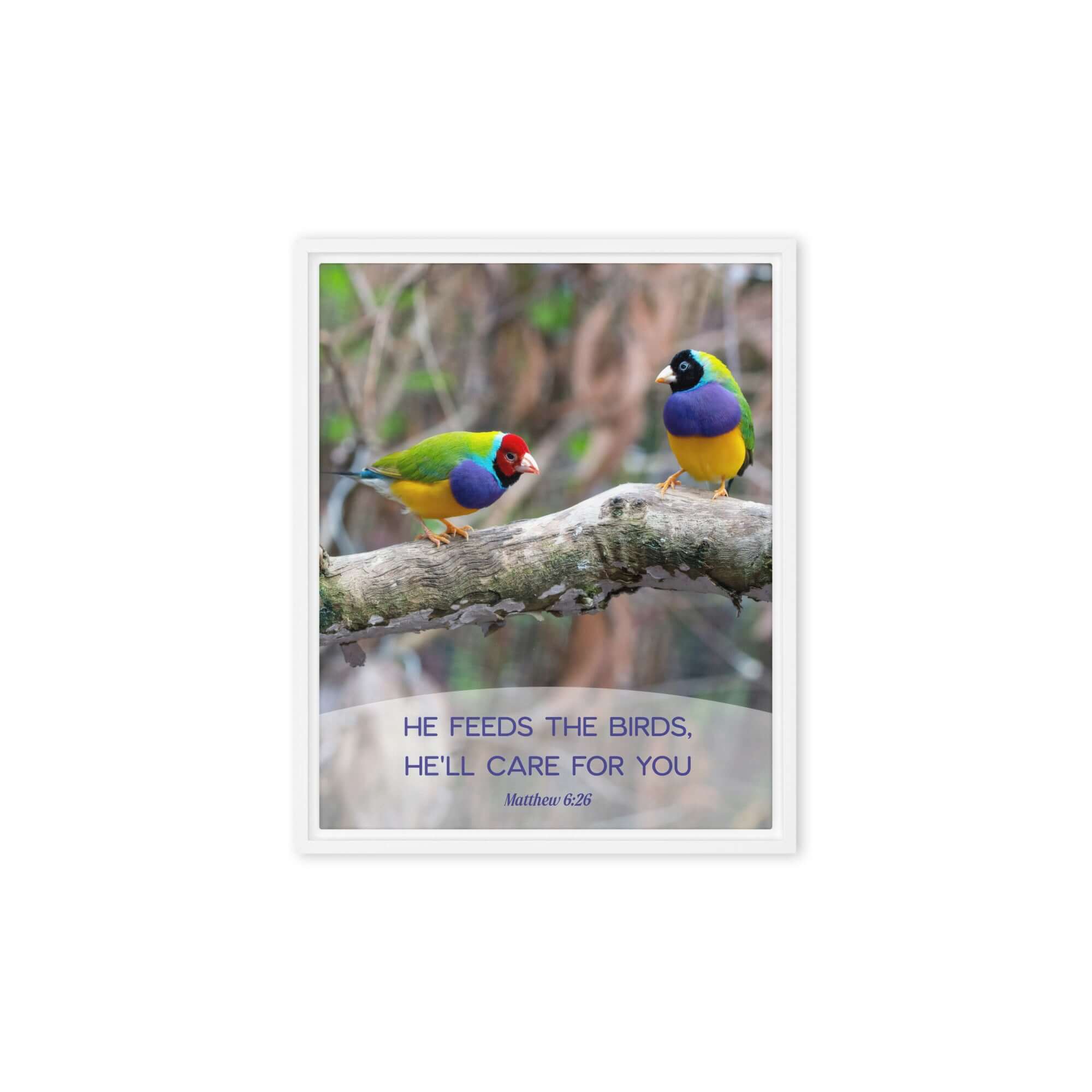 Matthew 6:26 Gouldian Finches, He'll Care for You Framed Canvas Print Wall Art White 8″×10″