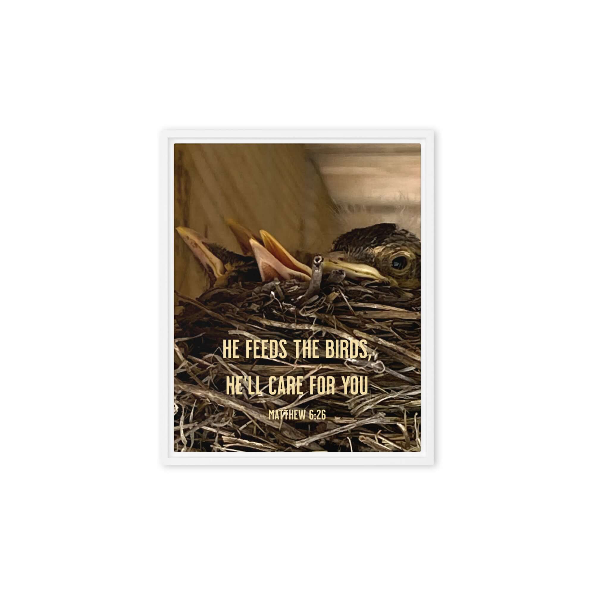 Matthew 6:26 Baby Robins, He'll Care for You Framed Canvas Print Wall Art White 8″×10″