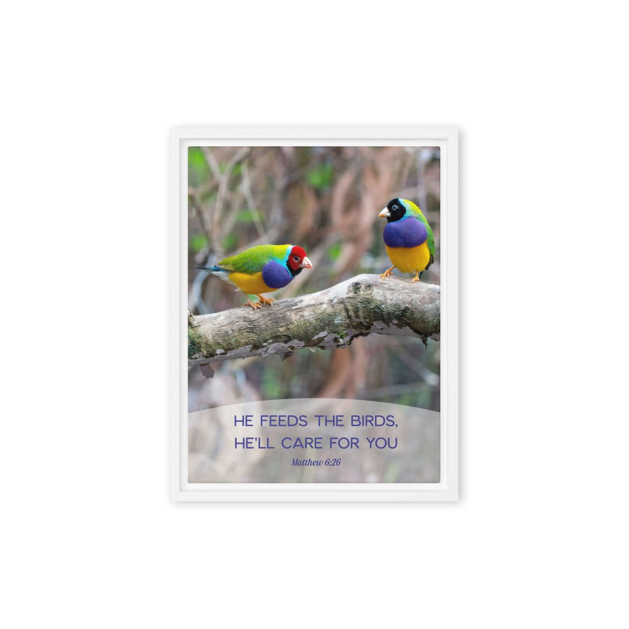 Matthew 6:26 Gouldian Finches, He'll Care for You Framed Canvas Print Wall Art White 9″×12″