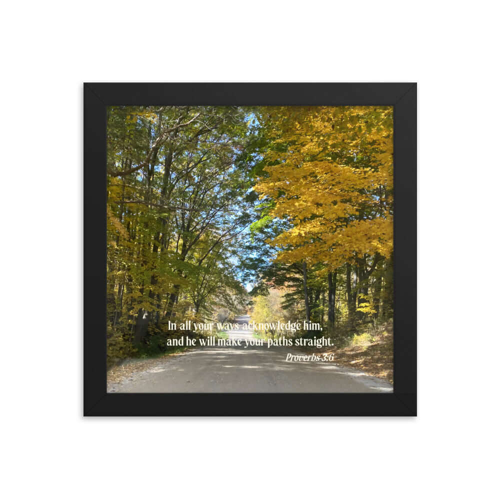 Proverbs 3:6 Bible Verse, Fall Road Premium Luster Photo Paper Framed Poster Wall Art Black 10″×10″