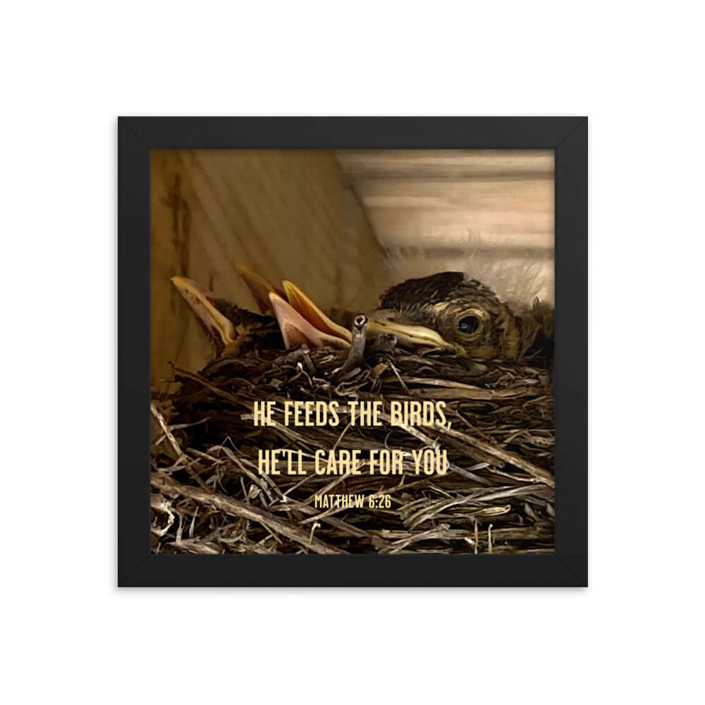 Matthew 6:26 Baby Robins, He'll Care for You Premium Luster Photo Paper Framed Poster Wall Art Black 10″×10″