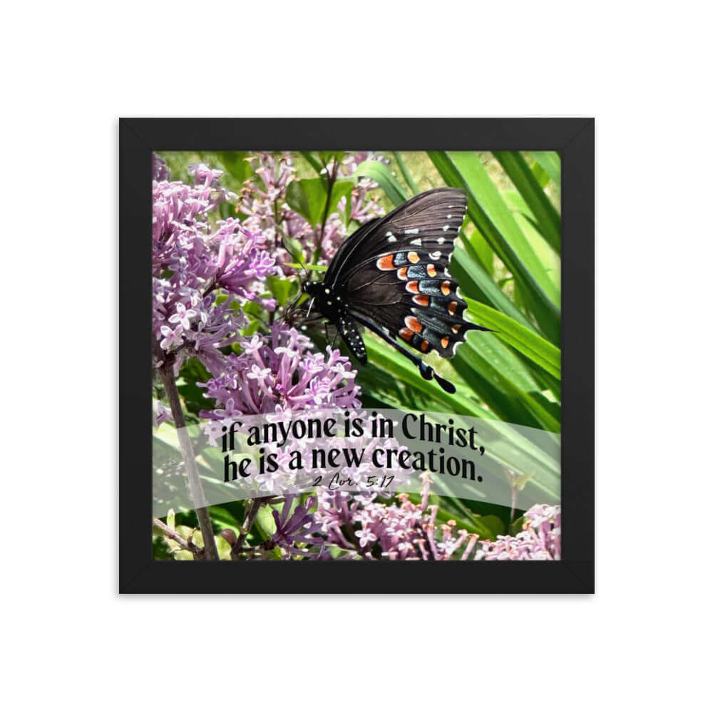 2 Corinthians 5:17 Bible Verse, Butterfly Premium Luster Photo Paper Framed Poster Wall Art Black 10″×10″