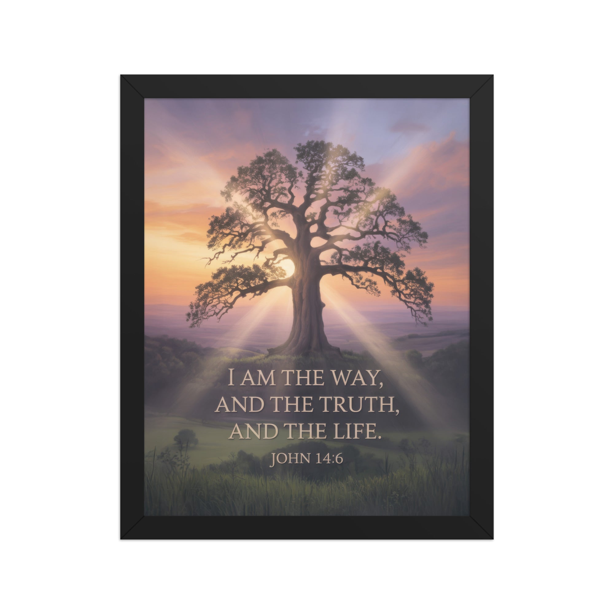 John 14:6 Bible Verse Jesus said Premium Luster Photo Paper Framed Poster Black 11″×14″
