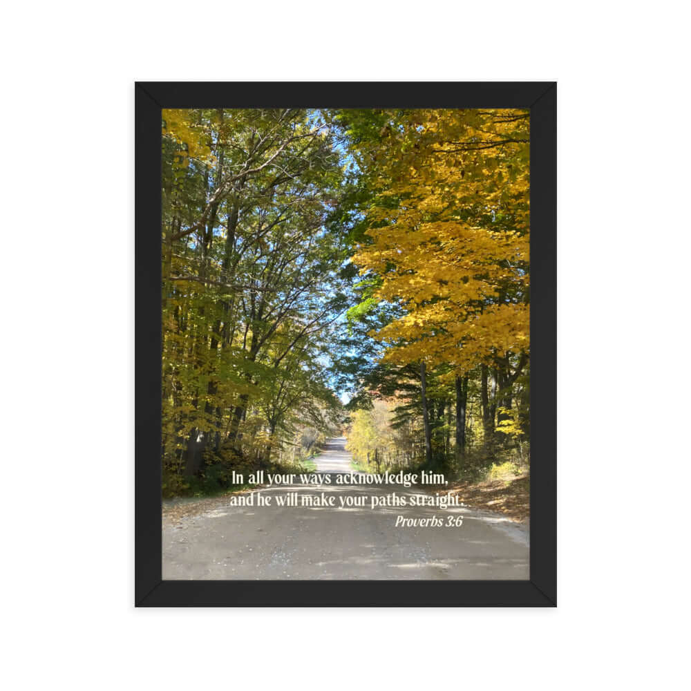Proverbs 3:6 Bible Verse, Fall Road Premium Luster Photo Paper Framed Poster Wall Art Black 11″×14″