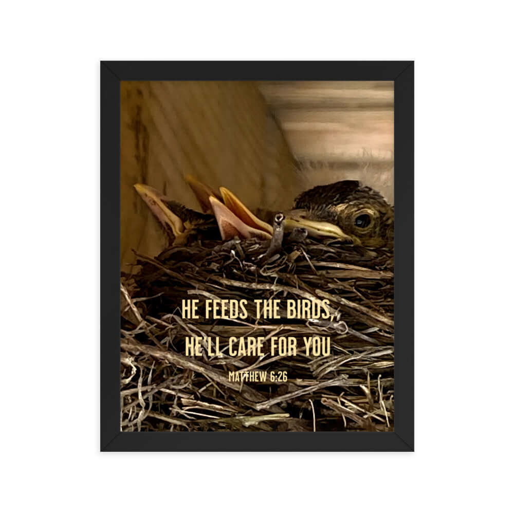 Matthew 6:26 Baby Robins, He'll Care for You Premium Luster Photo Paper Framed Poster Wall Art Black 11″×14″