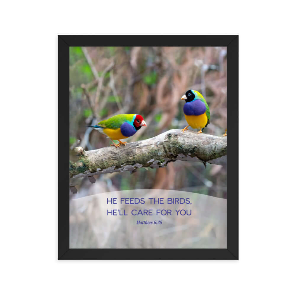 Matthew 6:26 Gouldian Finches, He'll Care for You Premium Luster Photo Paper Framed Poster Wall Art Black 11″×14″