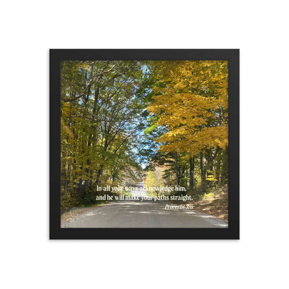 Proverbs 3:6 Bible Verse, Fall Road Premium Luster Photo Paper Framed Poster Wall Art Black 12″×12″