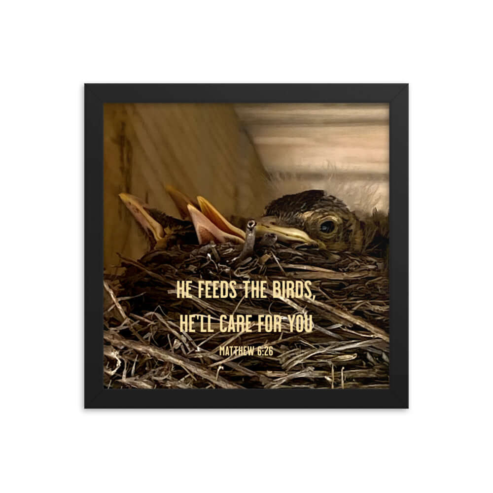 Matthew 6:26 Baby Robins, He'll Care for You Premium Luster Photo Paper Framed Poster Wall Art Black 12″×12″