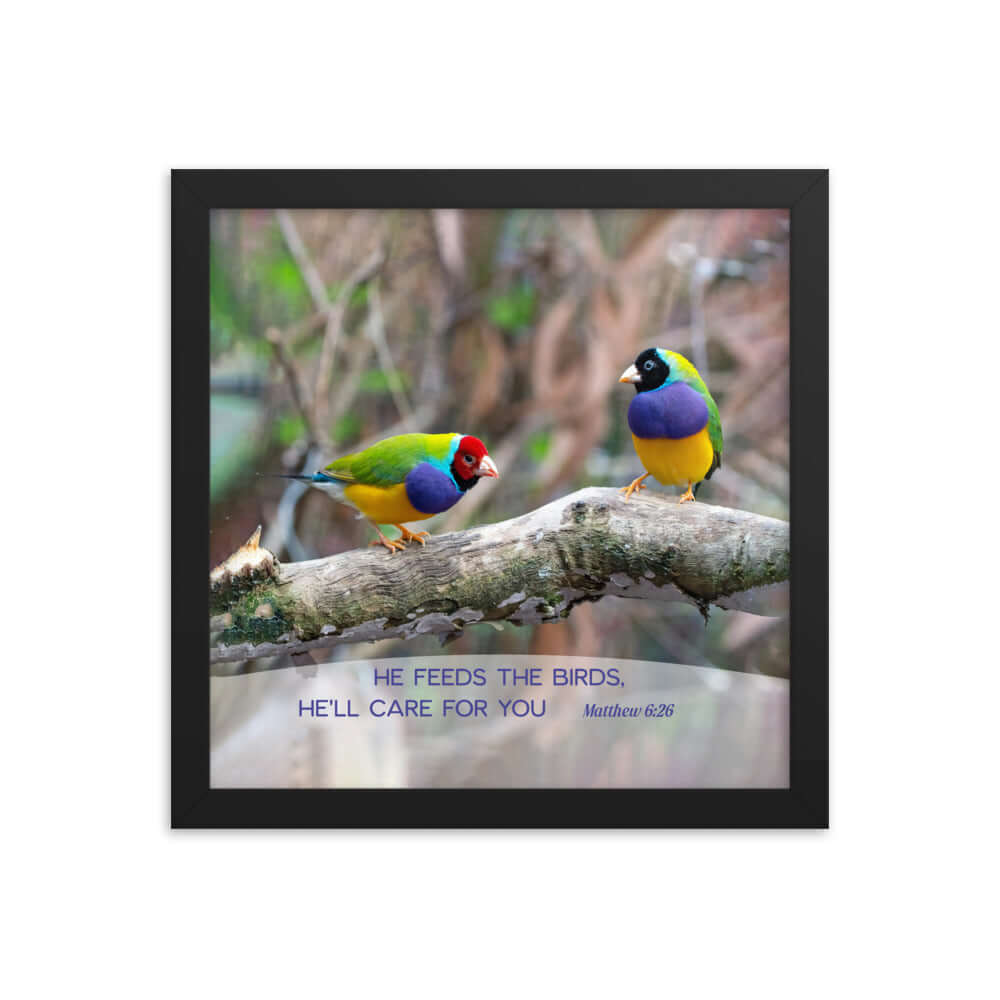 Matthew 6:26 Gouldian Finches, He'll Care for You Premium Luster Photo Paper Framed Poster Wall Art Black 12″×12″