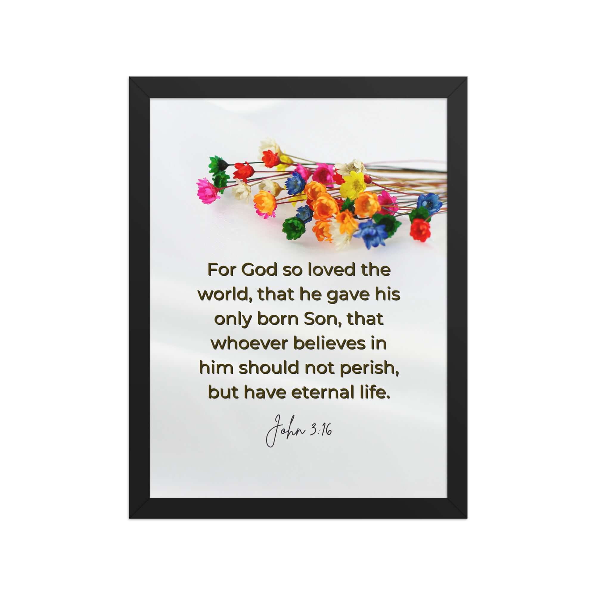 John 3:16 Bible Verse, He gave His Son Premium Luster Photo Paper Framed Poster Wall Art Black 12″×16″