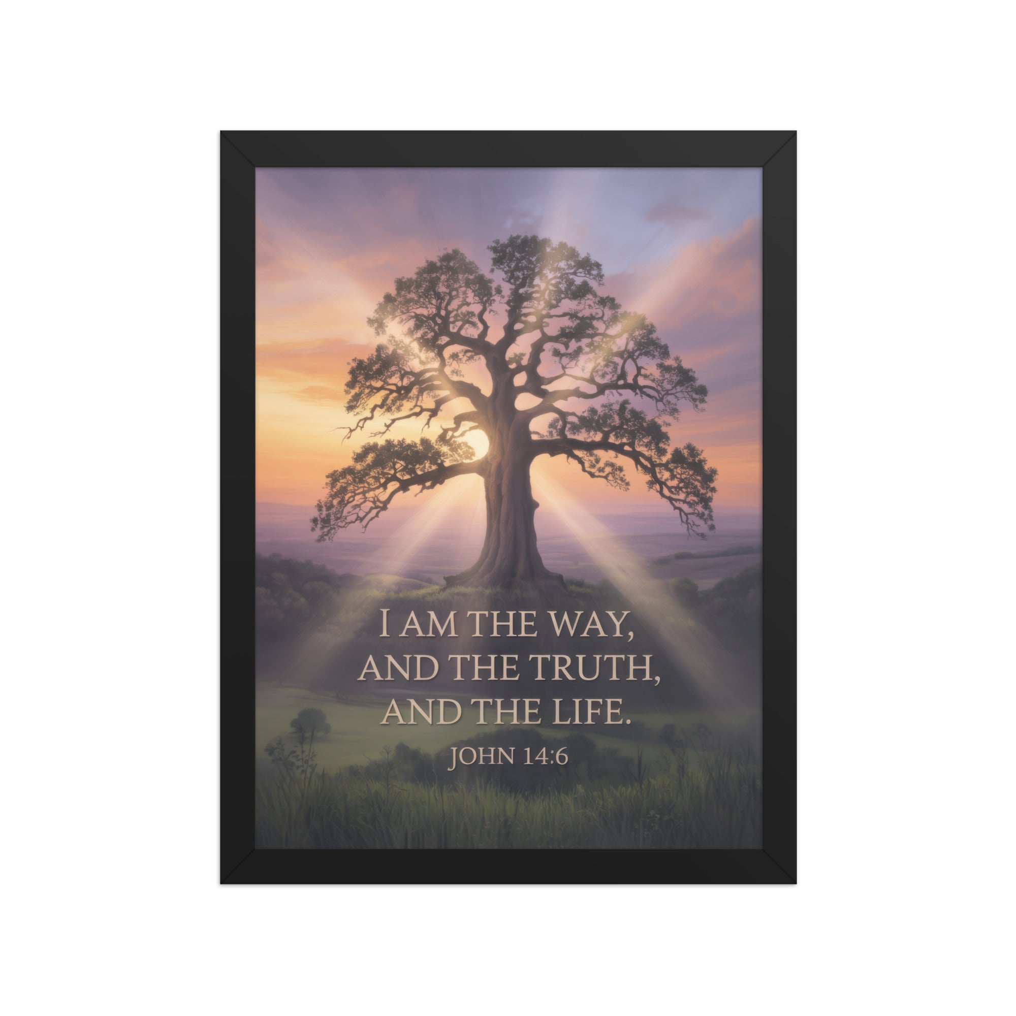 John 14:6 Bible Verse Jesus said Premium Luster Photo Paper Framed Poster Black 12″×16″