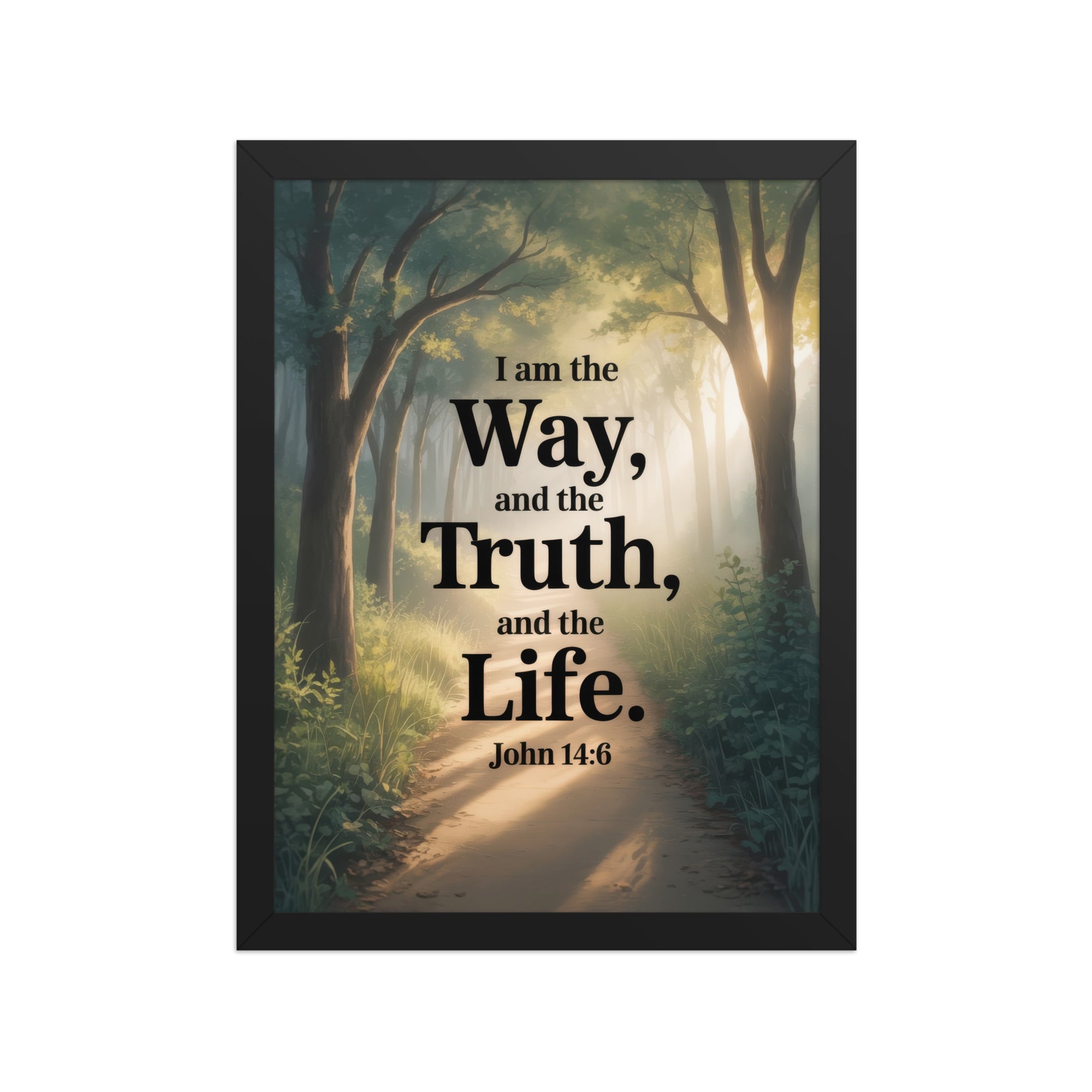 John 14:6 Bible Verse The Life Premium Luster Photo Paper Framed Poster Black 12″×16″