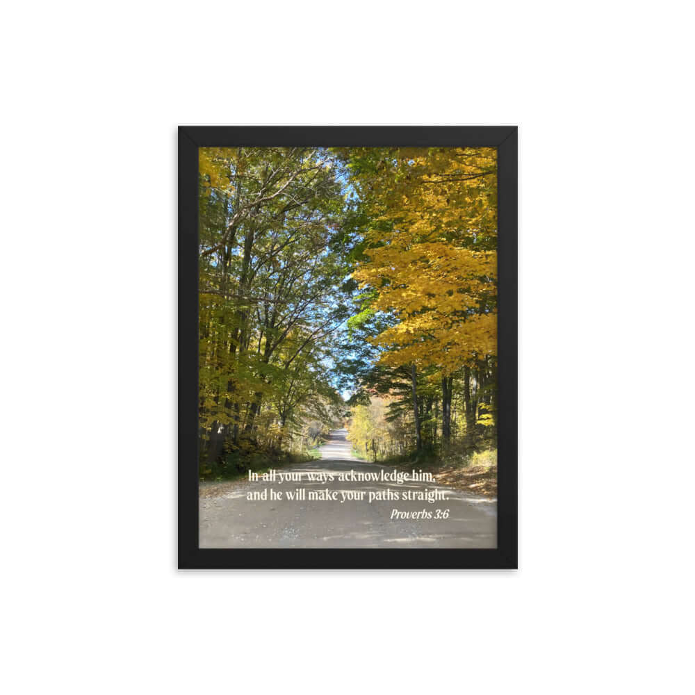 Proverbs 3:6 Bible Verse, Fall Road Premium Luster Photo Paper Framed Poster Wall Art Black 12″×16″