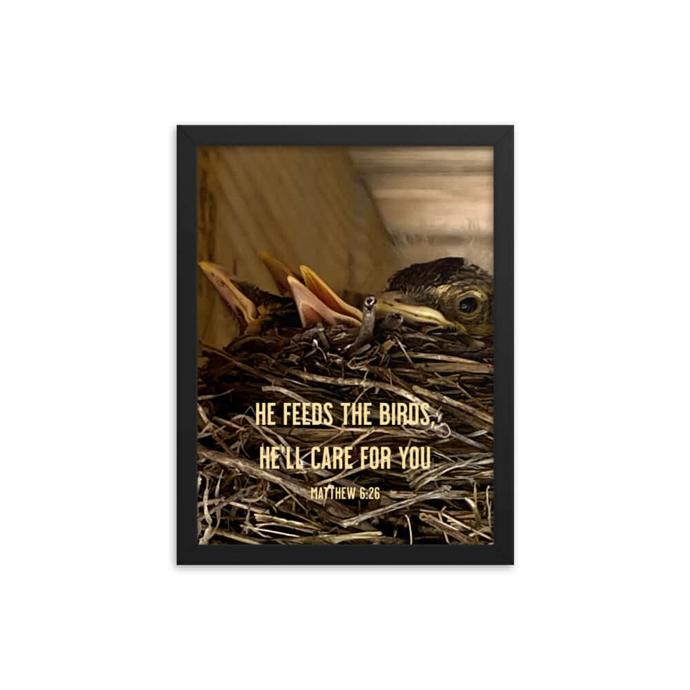 Matthew 6:26 Baby Robins, He'll Care for You Premium Luster Photo Paper Framed Poster Wall Art Black 12″×16″