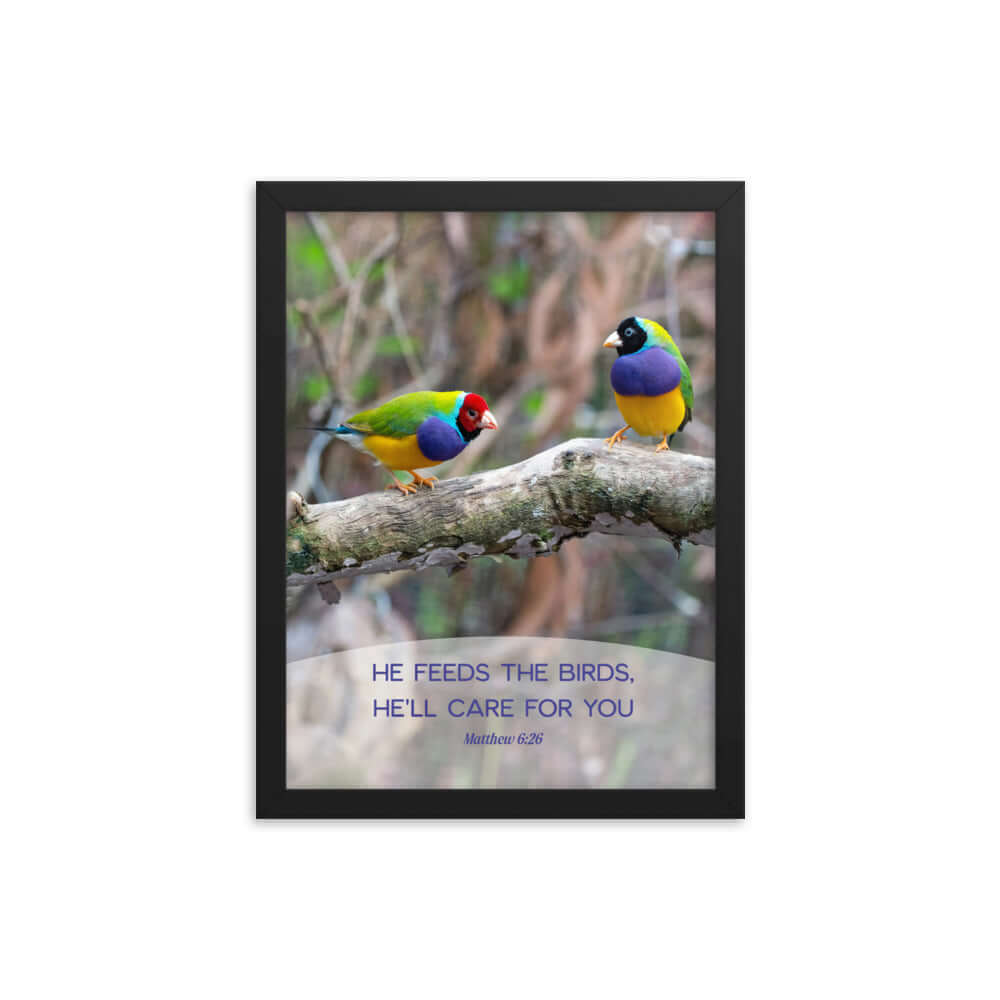 Matthew 6:26 Gouldian Finches, He'll Care for You Premium Luster Photo Paper Framed Poster Wall Art Black 12″×16″