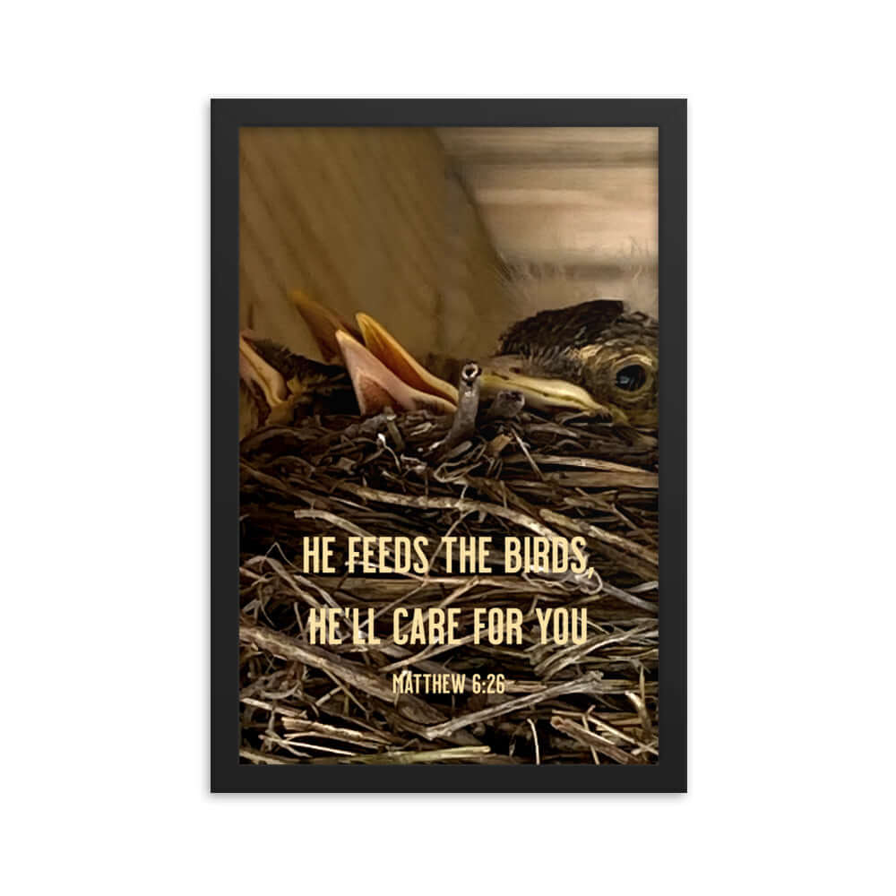 Matthew 6:26 Baby Robins, He'll Care for You Premium Luster Photo Paper Framed Poster Wall Art Black 12″×18″