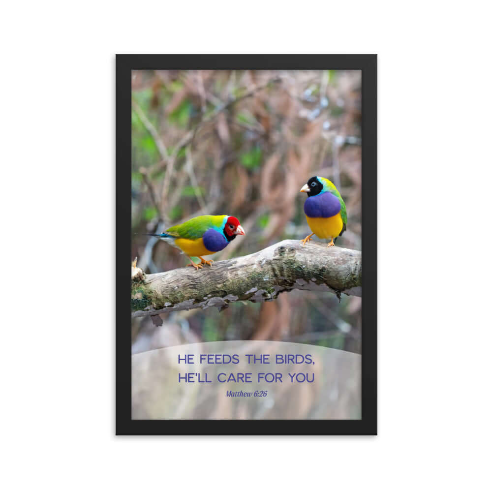 Matthew 6:26 Gouldian Finches, He'll Care for You Premium Luster Photo Paper Framed Poster Wall Art Black 12″×18″