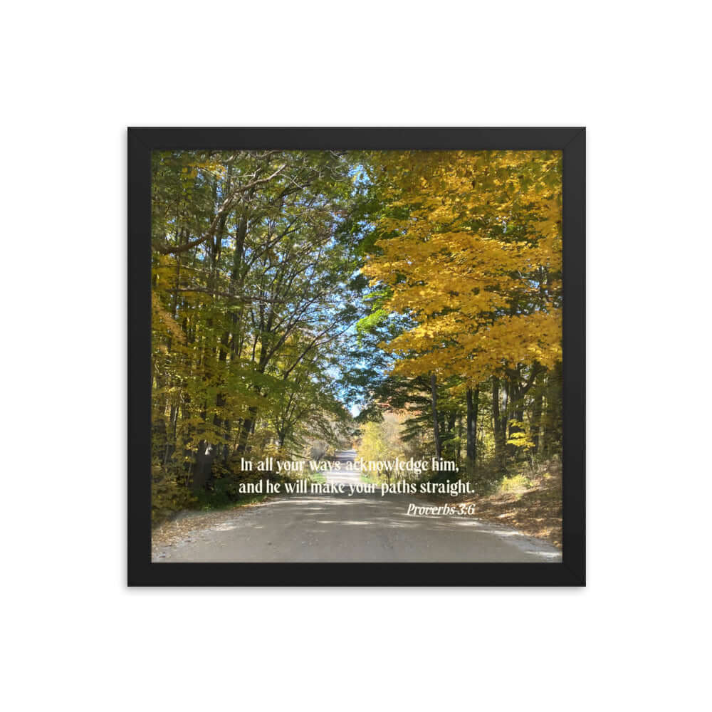Proverbs 3:6 Bible Verse, Fall Road Premium Luster Photo Paper Framed Poster Wall Art Black 14″×14″