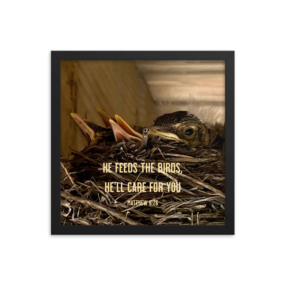 Matthew 6:26 Baby Robins, He'll Care for You Premium Luster Photo Paper Framed Poster Wall Art Black 14″×14″