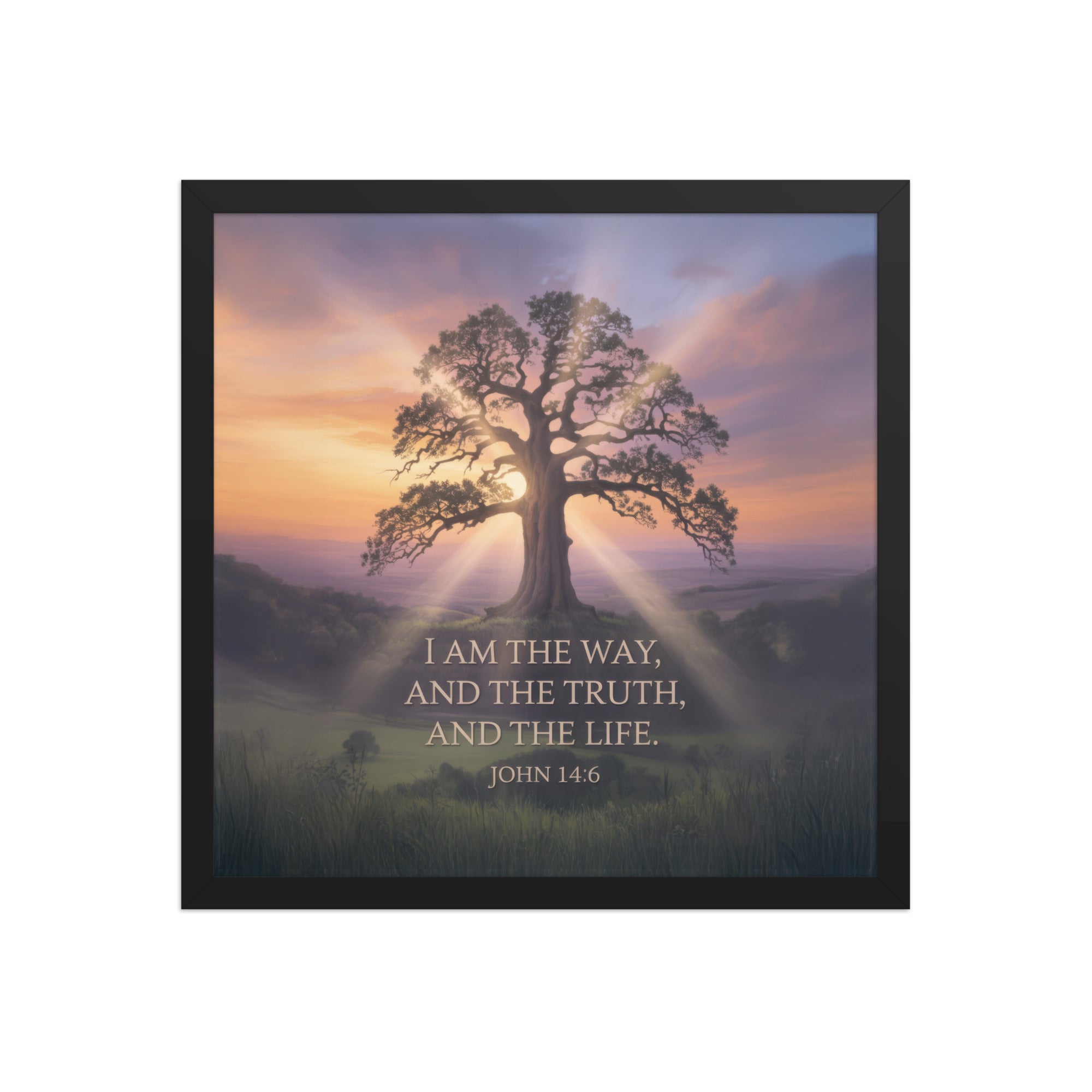 John 14:6 Bible Verse Jesus said Premium Luster Photo Paper Framed Poster Black 16″×16″