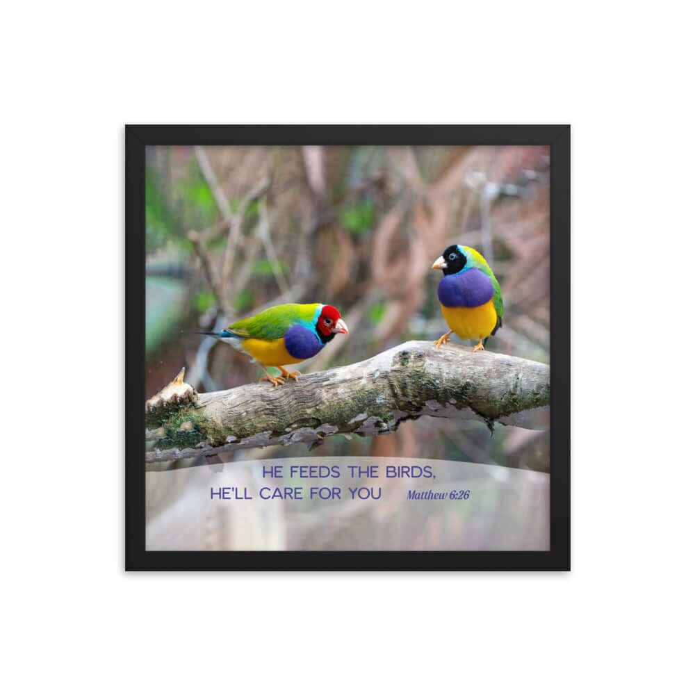 Matthew 6:26 Gouldian Finches, He'll Care for You Premium Luster Photo Paper Framed Poster Wall Art Black 16″×16″